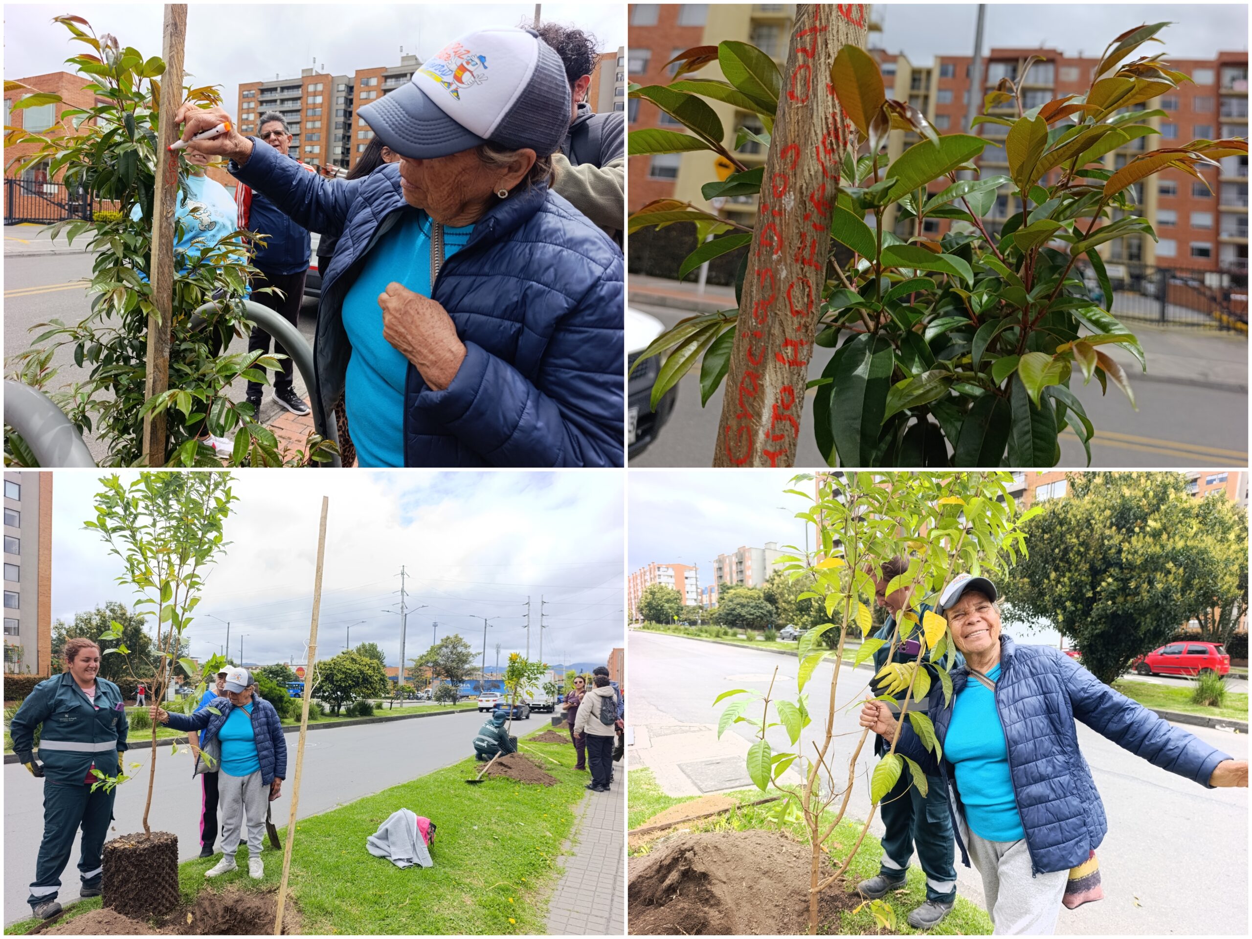 Historias del verde urbano: ¡El verde renace en Hayuelos!