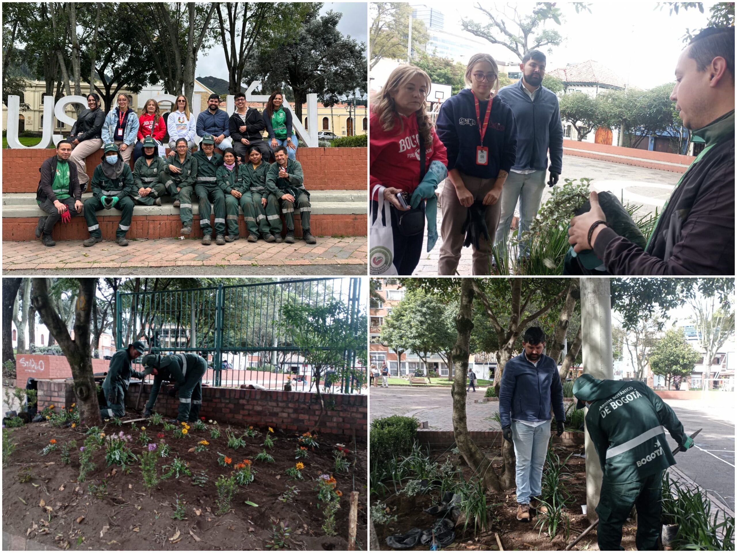 Historias del verde urbano: La renovación floral del corazón histórico de Usaquén