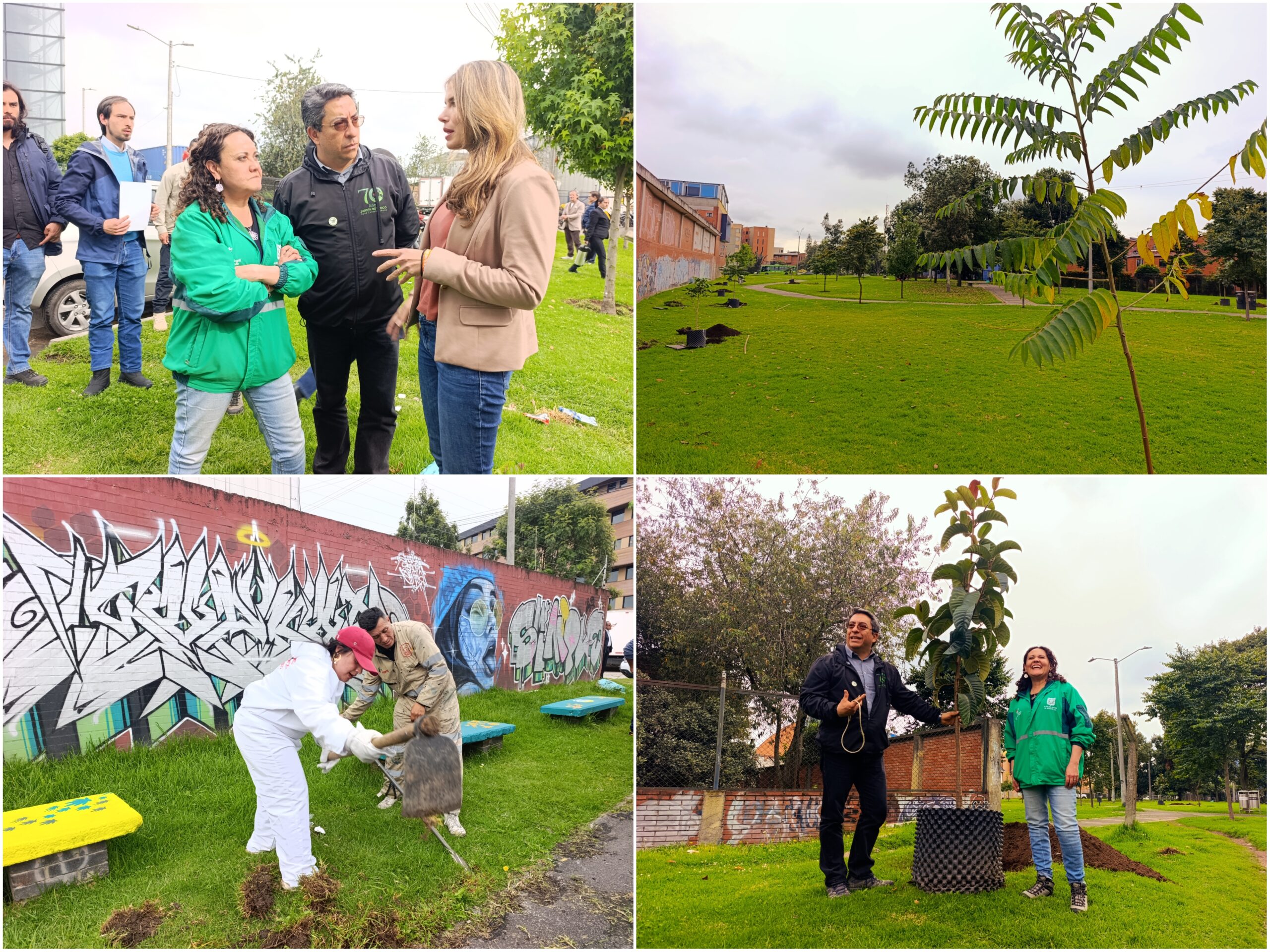 Historias del verde urbano: ¡La Cofradía tejió un nuevo verde!