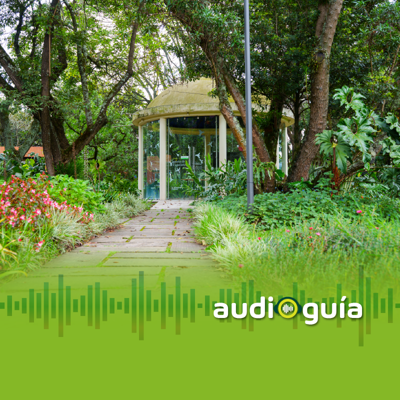 Audioguía parada 2 Monóptero