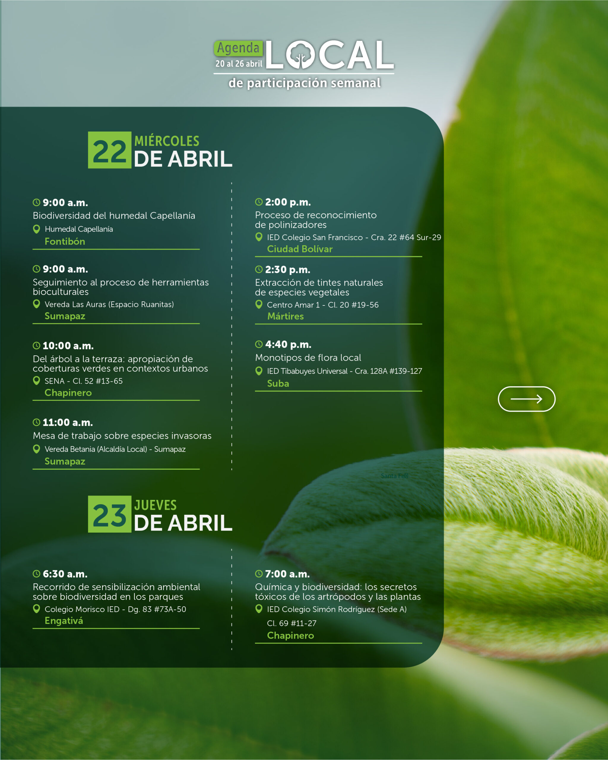 20 al 26 de abril-03