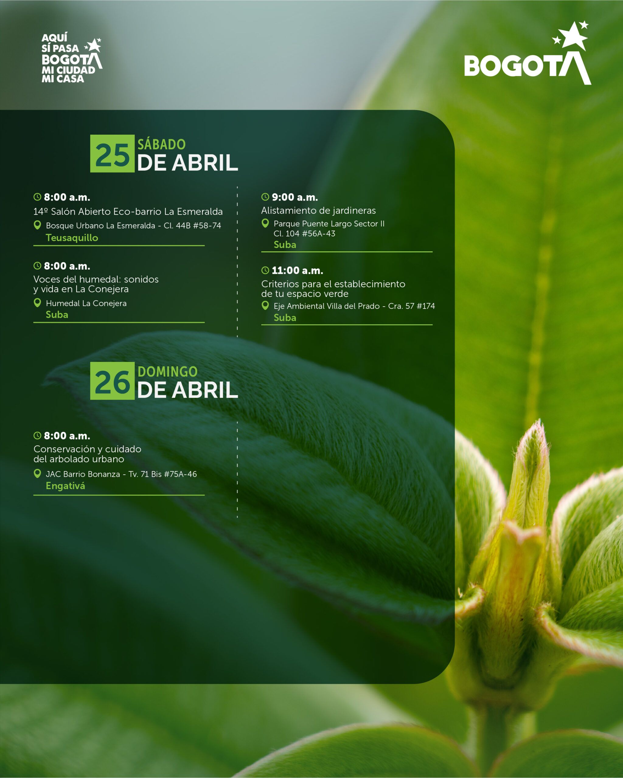 20 al 26 de abril-05