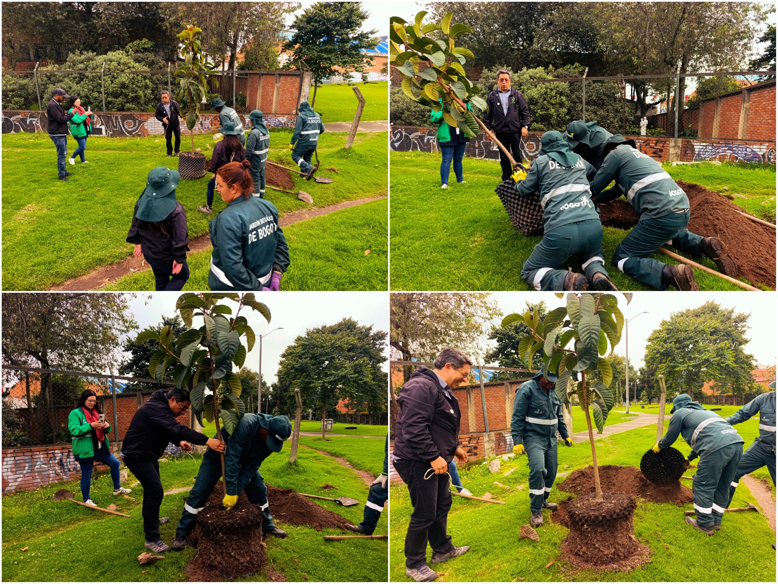 Historias del verde urbano: ¡La Cofradía tejió un nuevo verde!