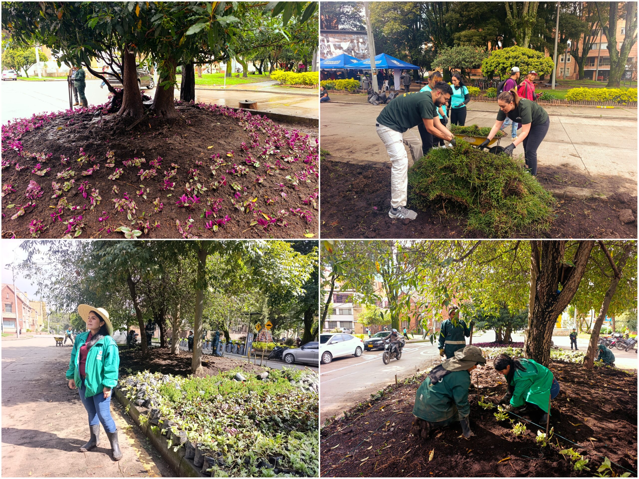 Historias del verde urbano: El nuevo lienzo floral del parque Guernika