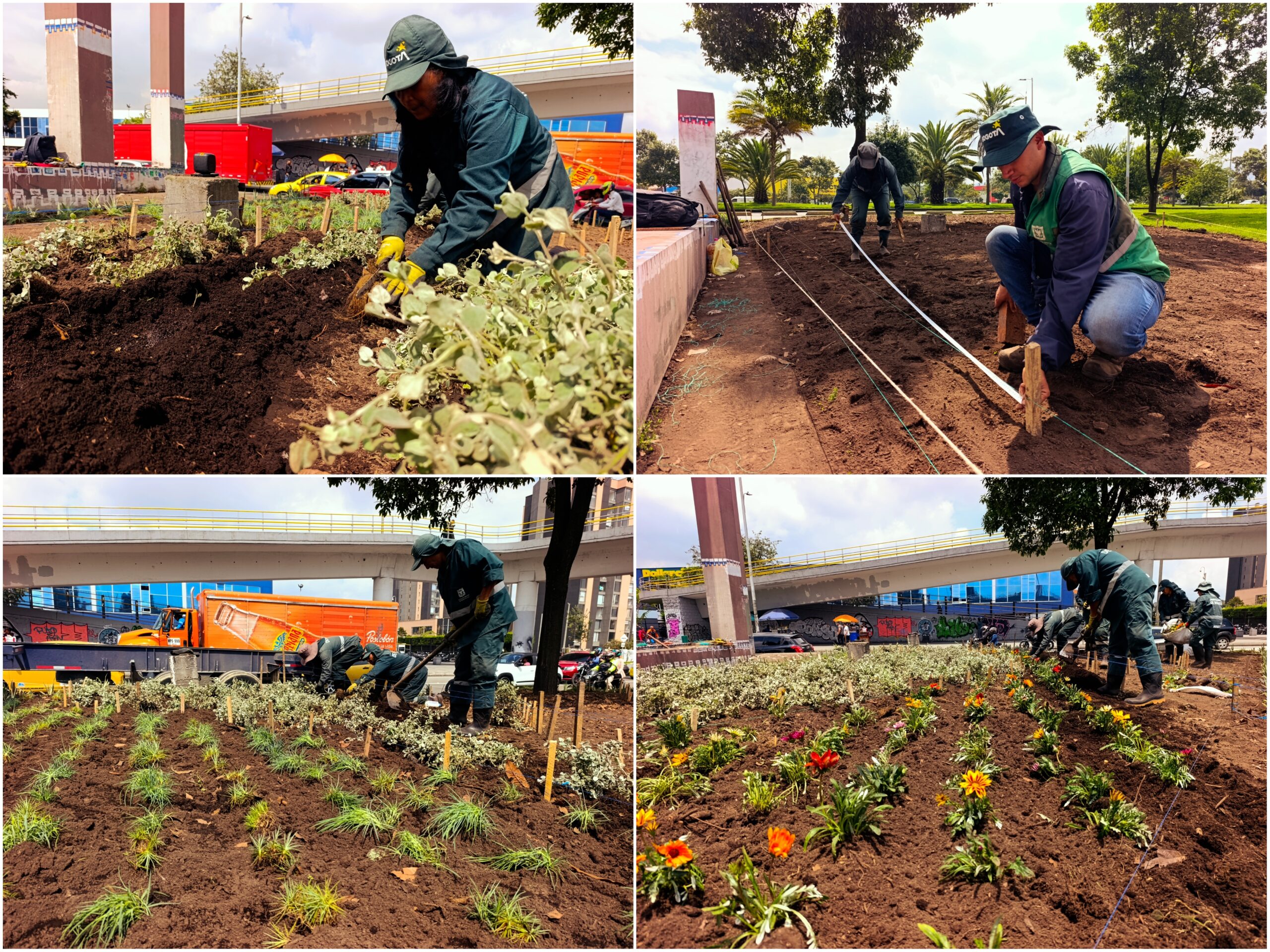 Historias del verde urbano: ¡La “Ventana a Bogotá” renovó sus jardines!