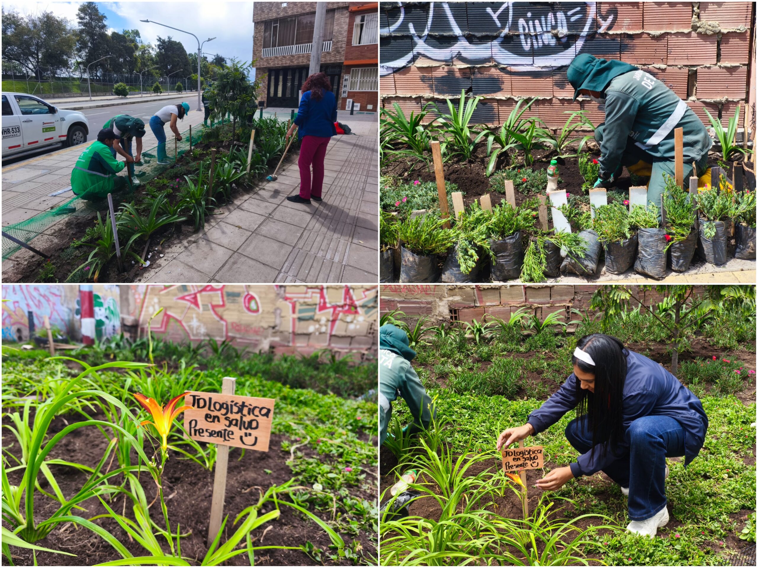 Historias del verde urbano: Las madrinas y padrinos de las nuevas jardineras de la avenida Mutis