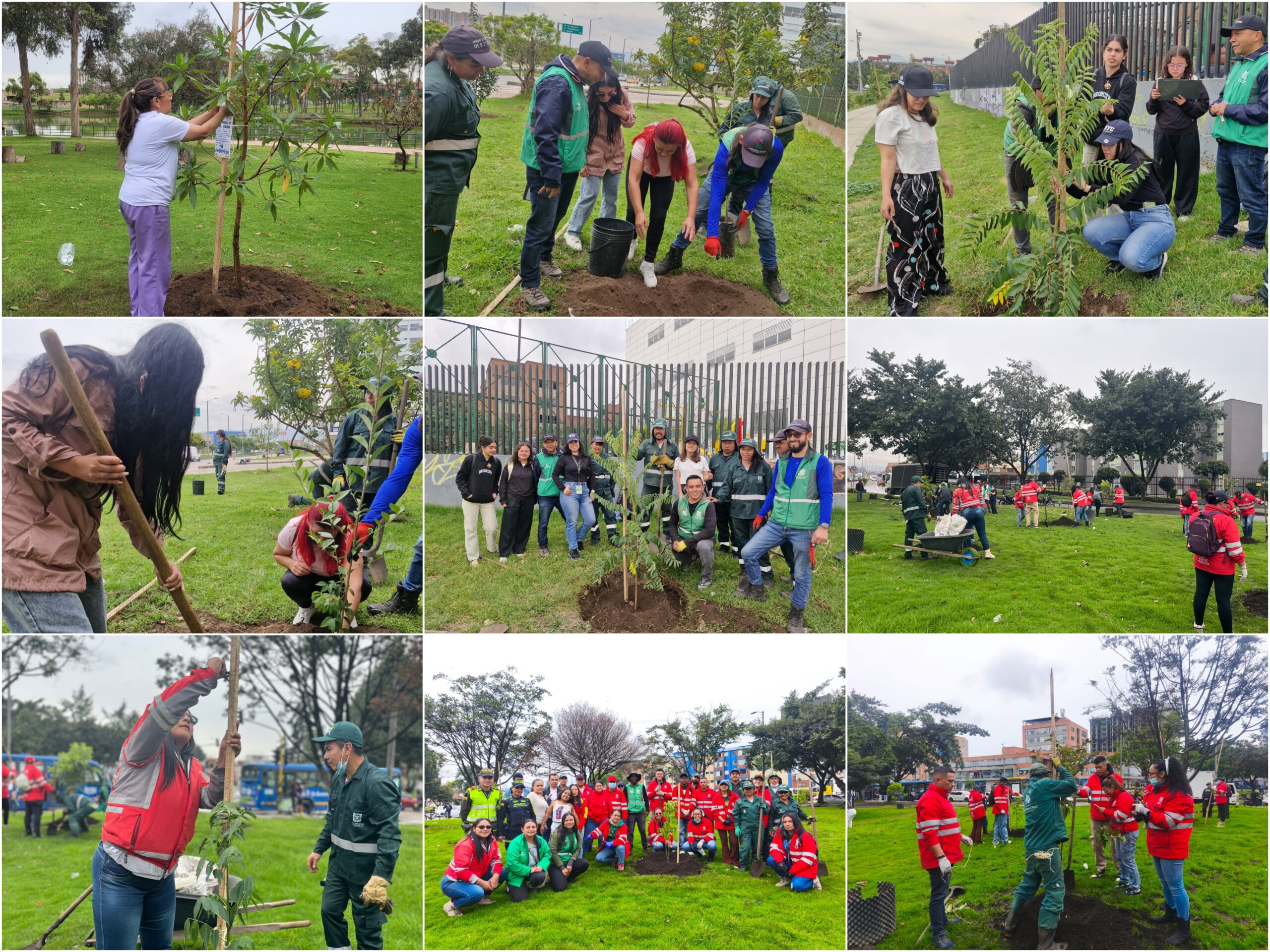 Historias del verde urbano: El Jardín Botánico de Bogotá le rindió un tributo verde a la Tierra con 30 actividades ambientales