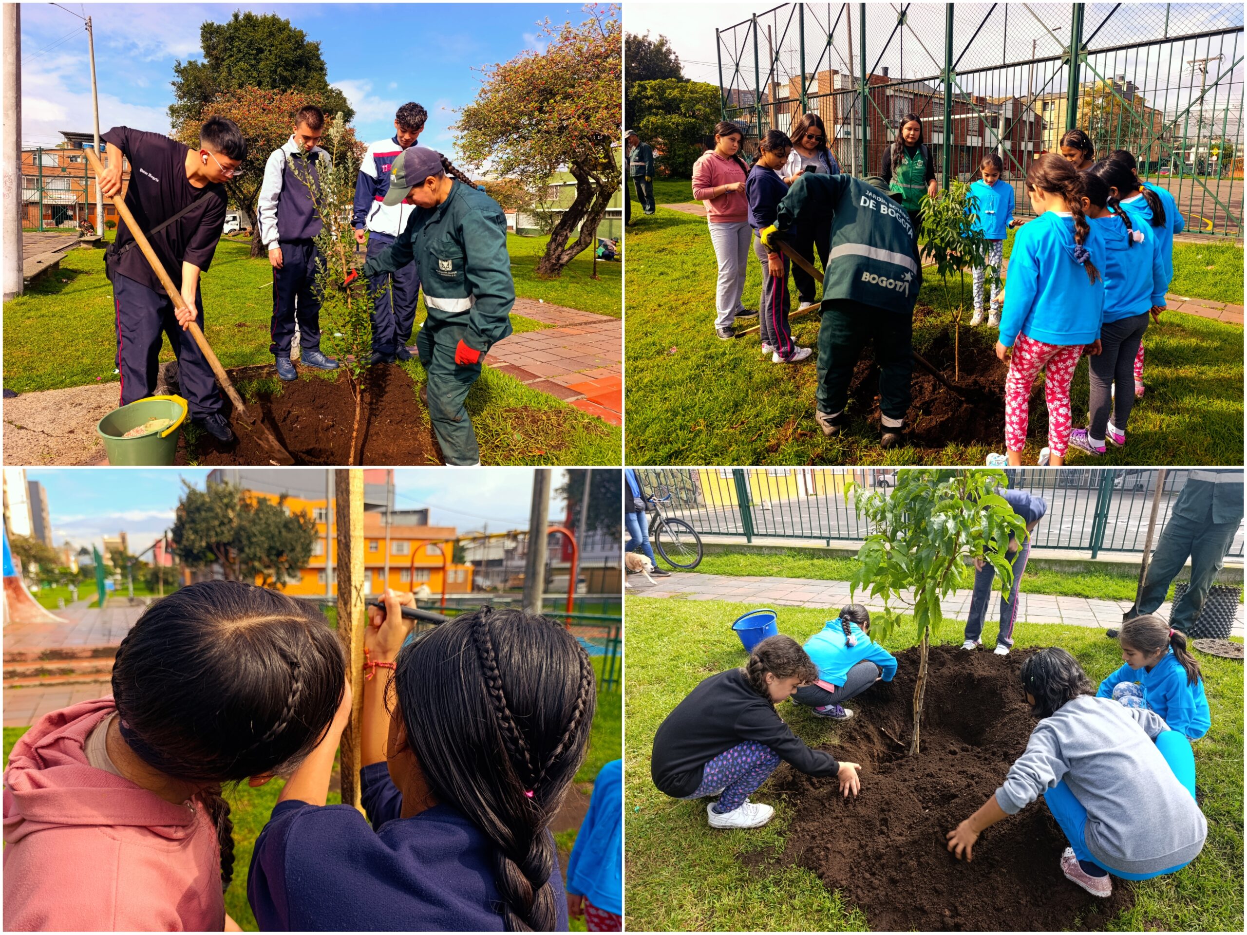 Historias del verde urbano: Los ‘escuderitos’ del arbolado de Santa María del Lago