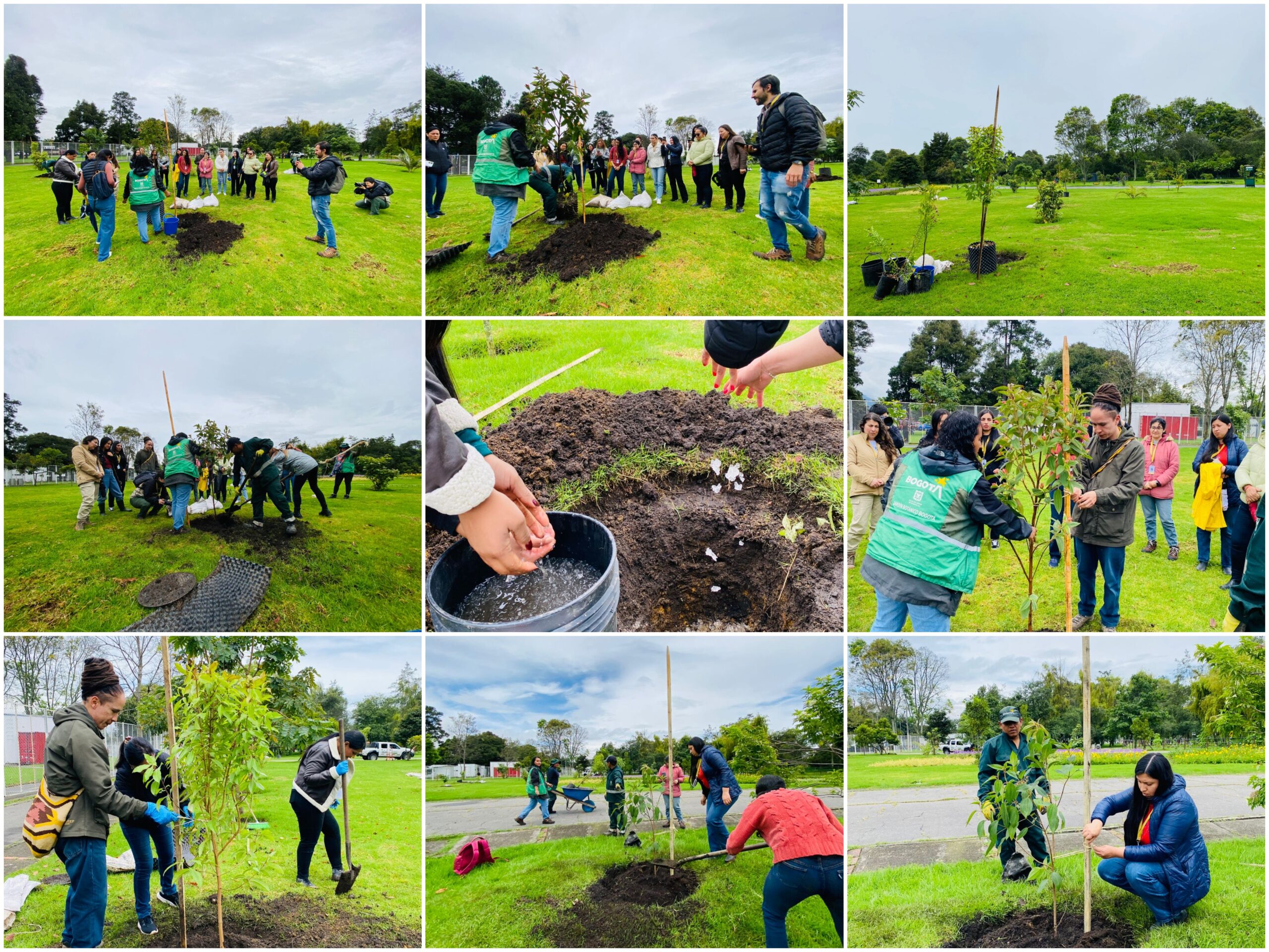 Historias del verde urbano: El festejo verde que le regaló a Bogotá más de 300 árboles y arbustos Historias del verde urbano: El festejo verde que le regaló a Bogotá más de 300 árboles y arbustos