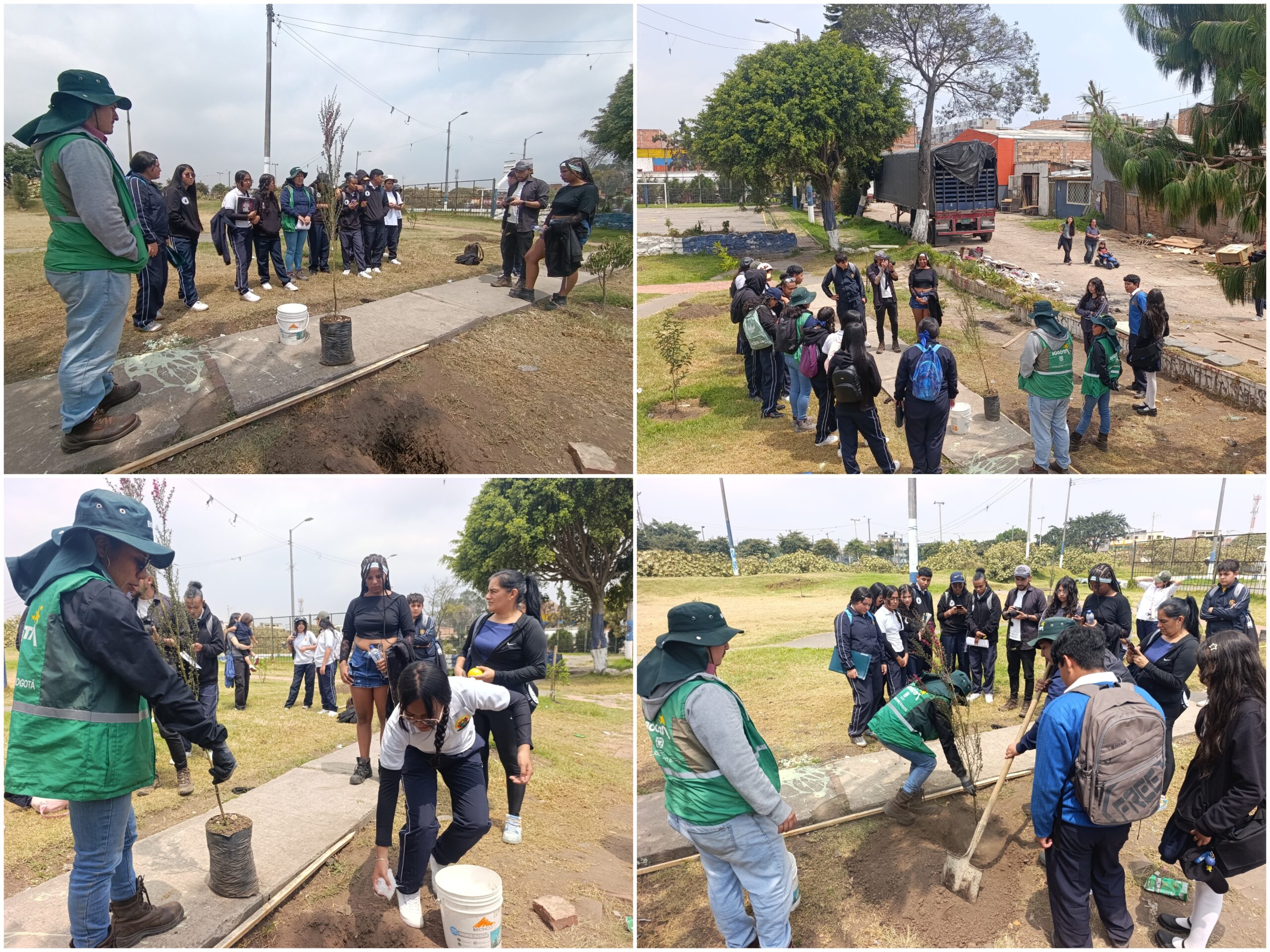 Historias del verde urbano: Plantación y clase de botánica en la ronda del río Tunjuelo