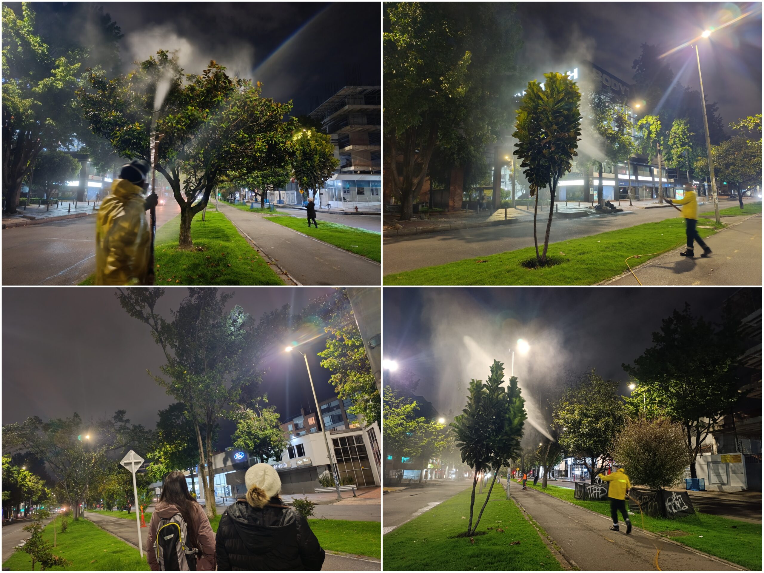 Historias del verde urbano: Crónica de una aspersión foliar nocturna en la avenida 19