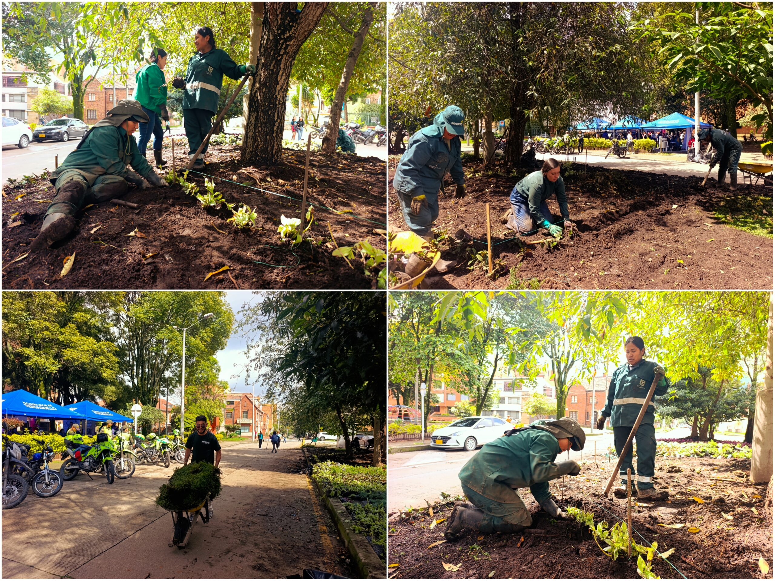 Historias del verde urbano: El nuevo lienzo floral del parque Guernika