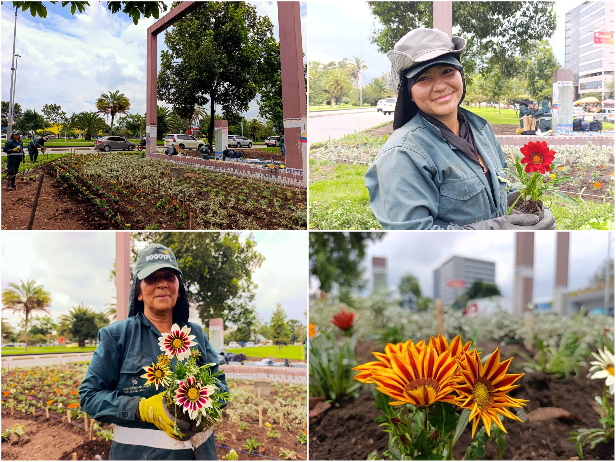 Historias del verde urbano: ¡La “Ventana a Bogotá” renovó sus jardines!