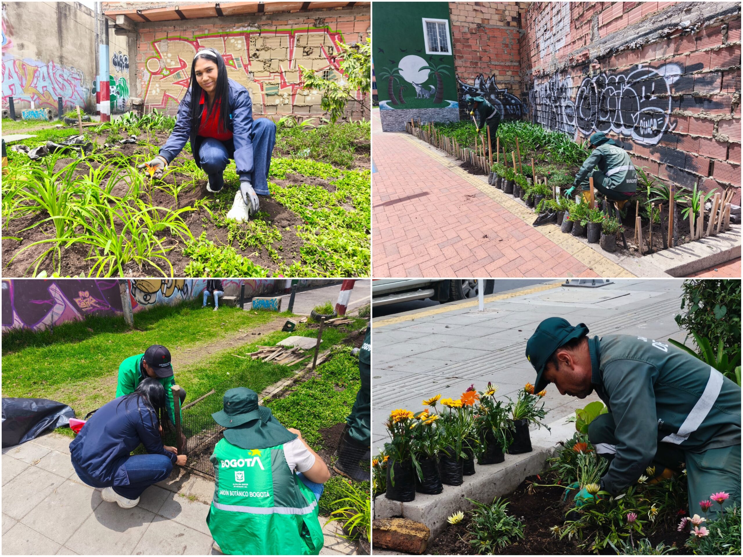 Historias del verde urbano: Las madrinas y padrinos de las nuevas jardineras de la avenida Mutis