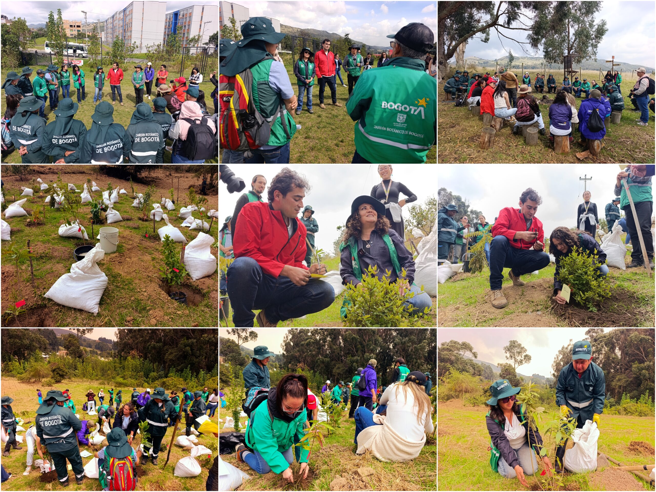 Historias del verde urbano: El Jardín Botánico de Bogotá le rindió un tributo verde a la Tierra con 30 actividades ambientales