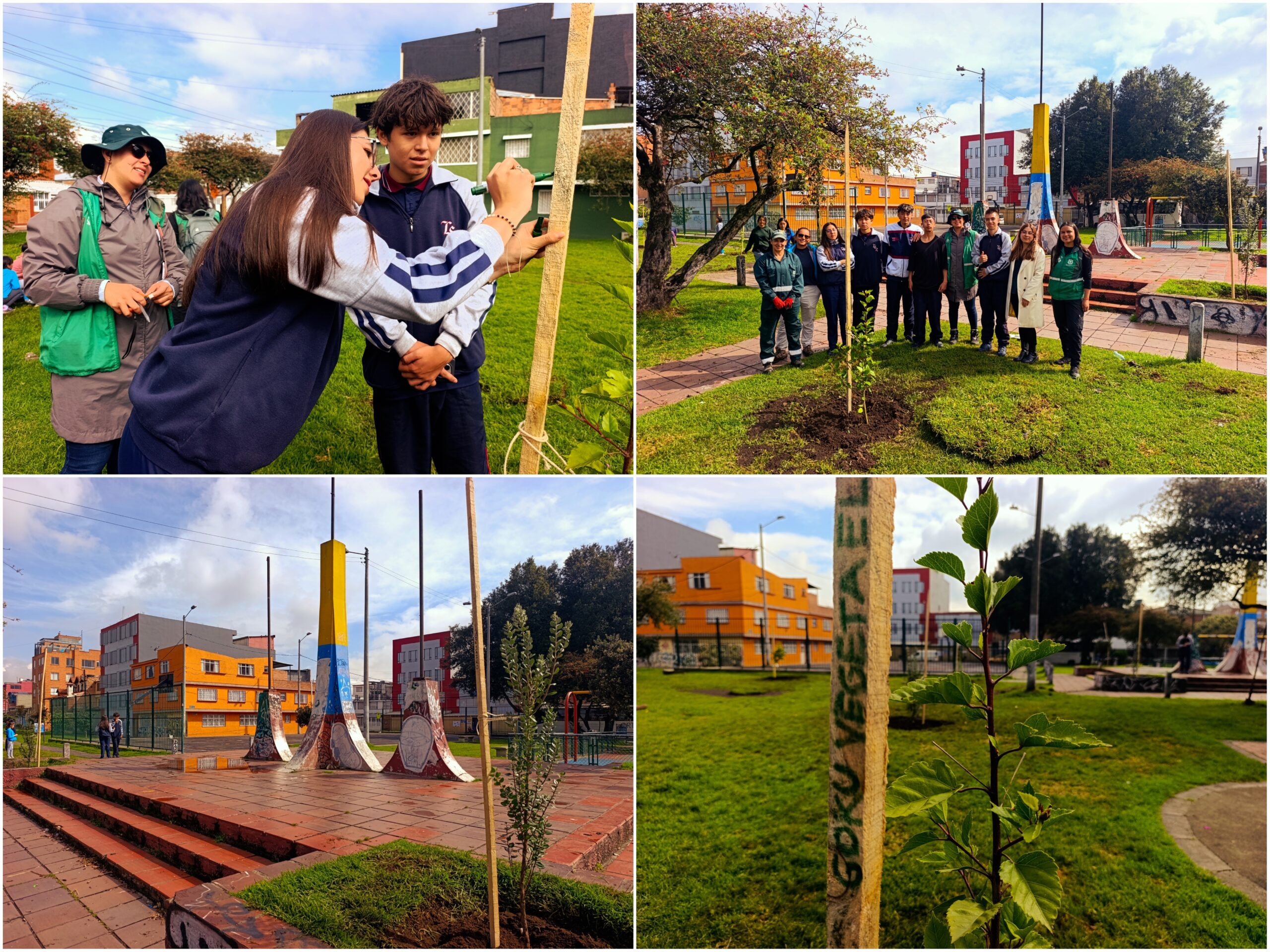 Historias del verde urbano: Los ‘escuderitos’ del arbolado de Santa María del Lago