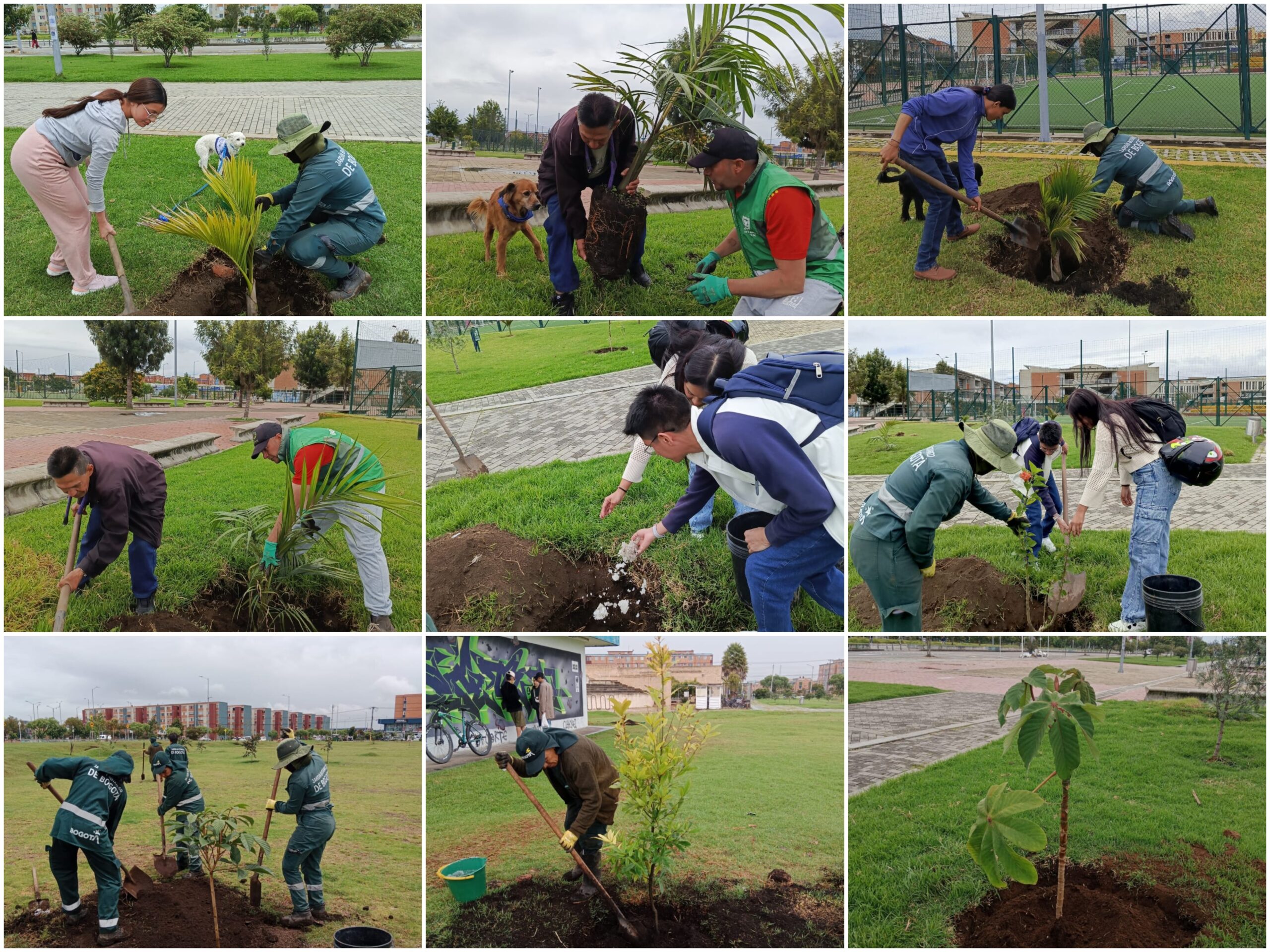 Historias del verde urbano: El festejo verde que le regaló a Bogotá más de 300 árboles y arbustos Historias del verde urbano: El festejo verde que le regaló a Bogotá más de 300 árboles y arbustos