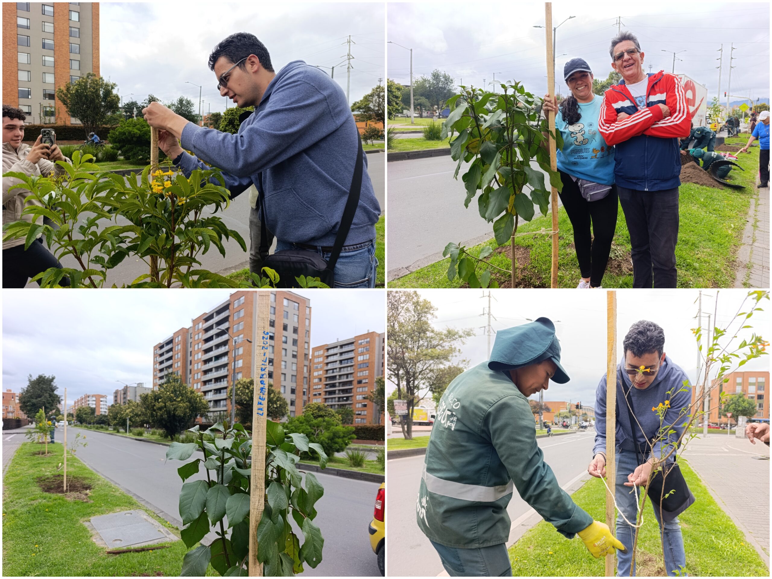 Historias del verde urbano: ¡El verde renace en Hayuelos!