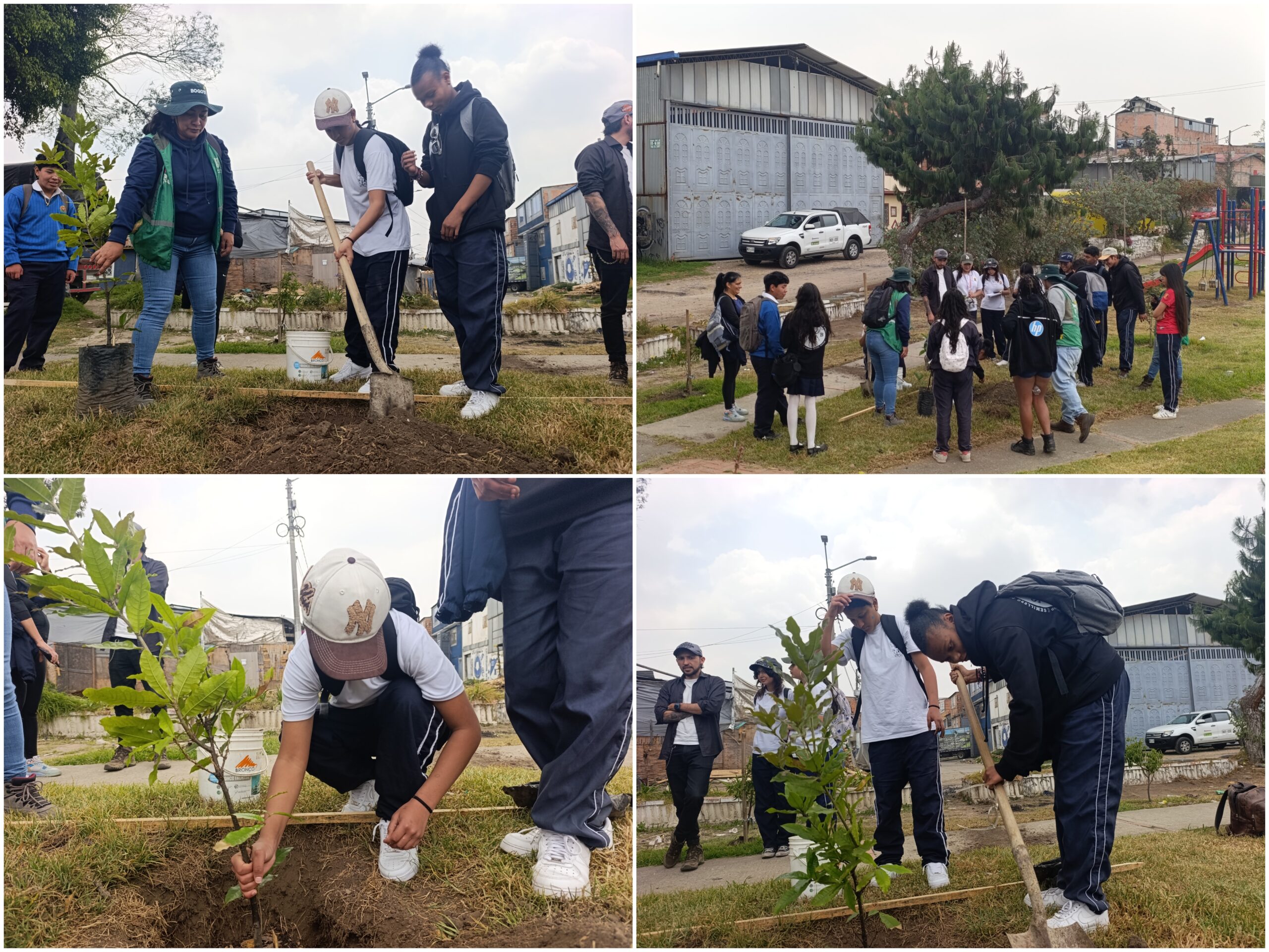 Historias del verde urbano: Plantación y clase de botánica en la ronda del río Tunjuelo