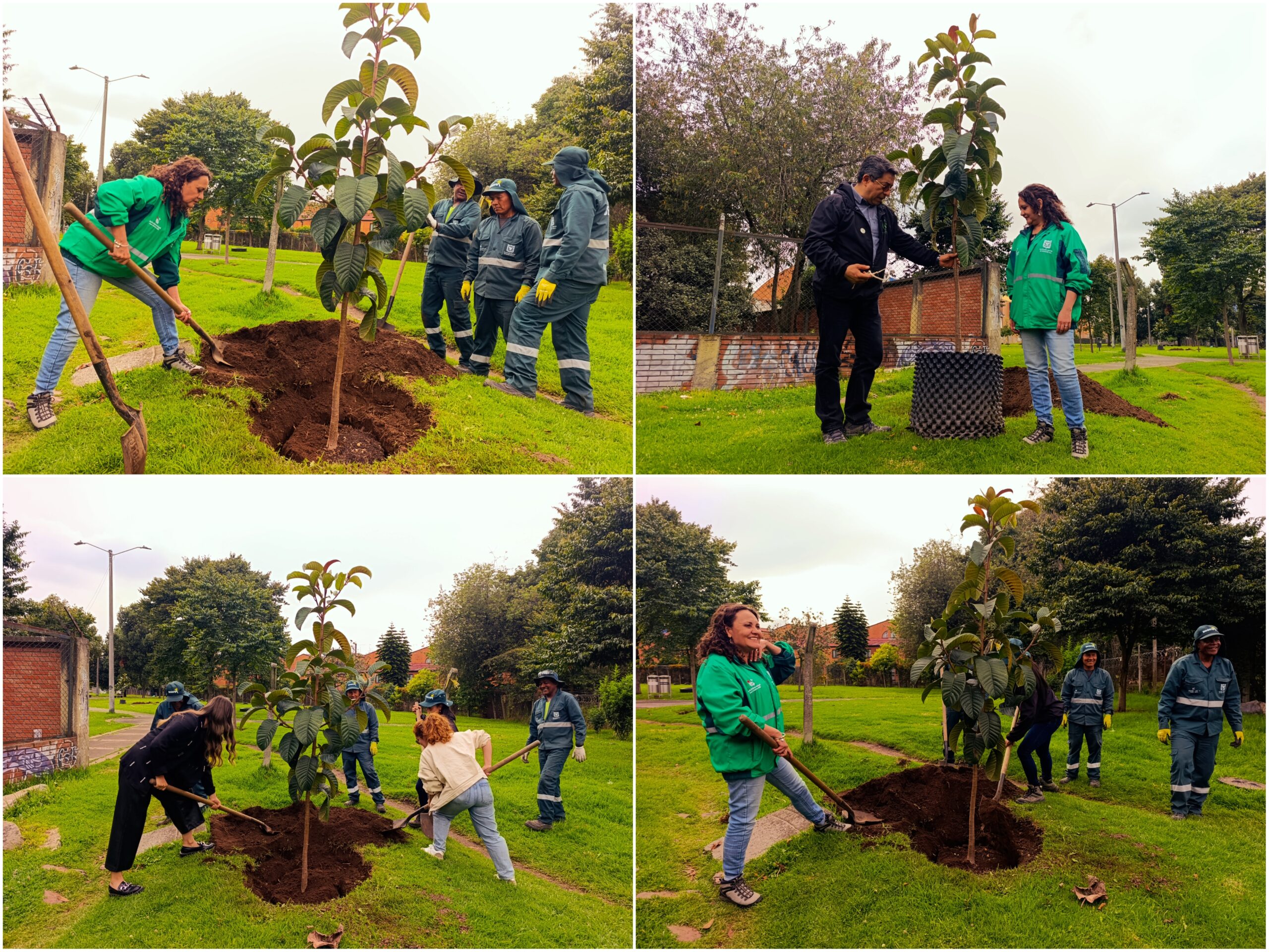 Historias del verde urbano: ¡La Cofradía tejió un nuevo verde!