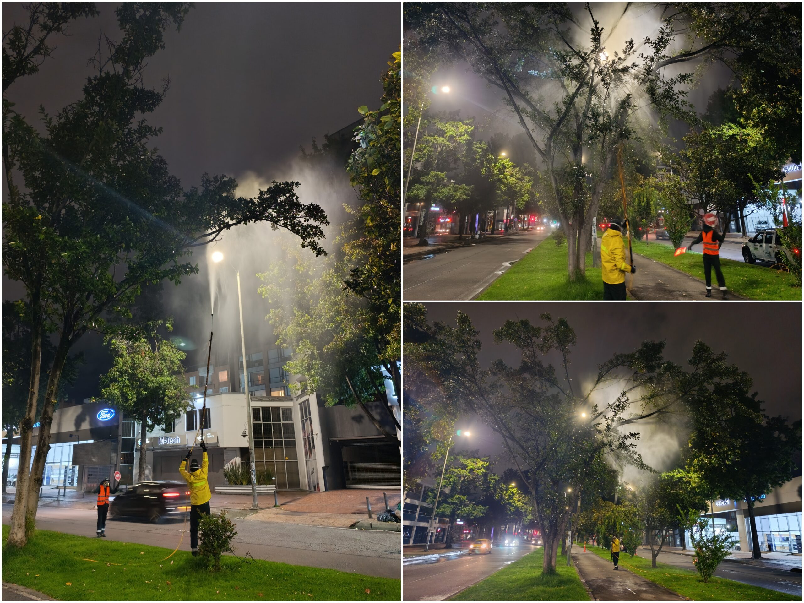 Historias del verde urbano: Crónica de una aspersión foliar nocturna en la avenida 19