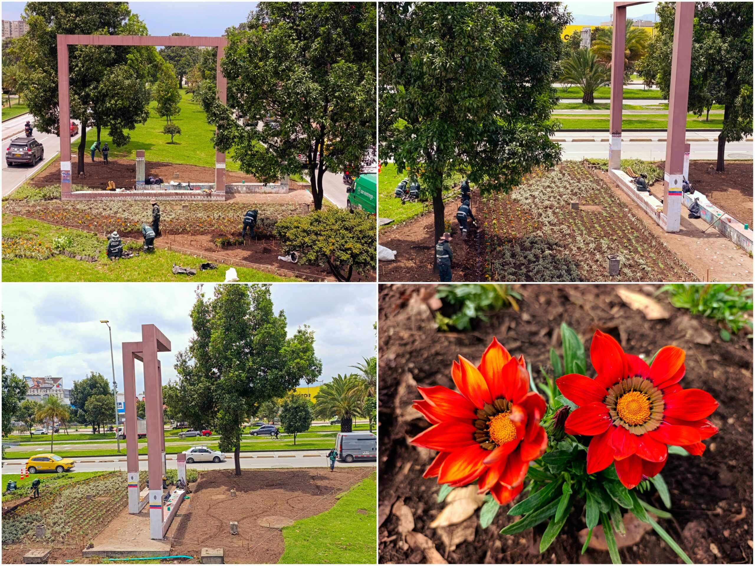 Historias del verde urbano: ¡La “Ventana a Bogotá” renovó sus jardines!