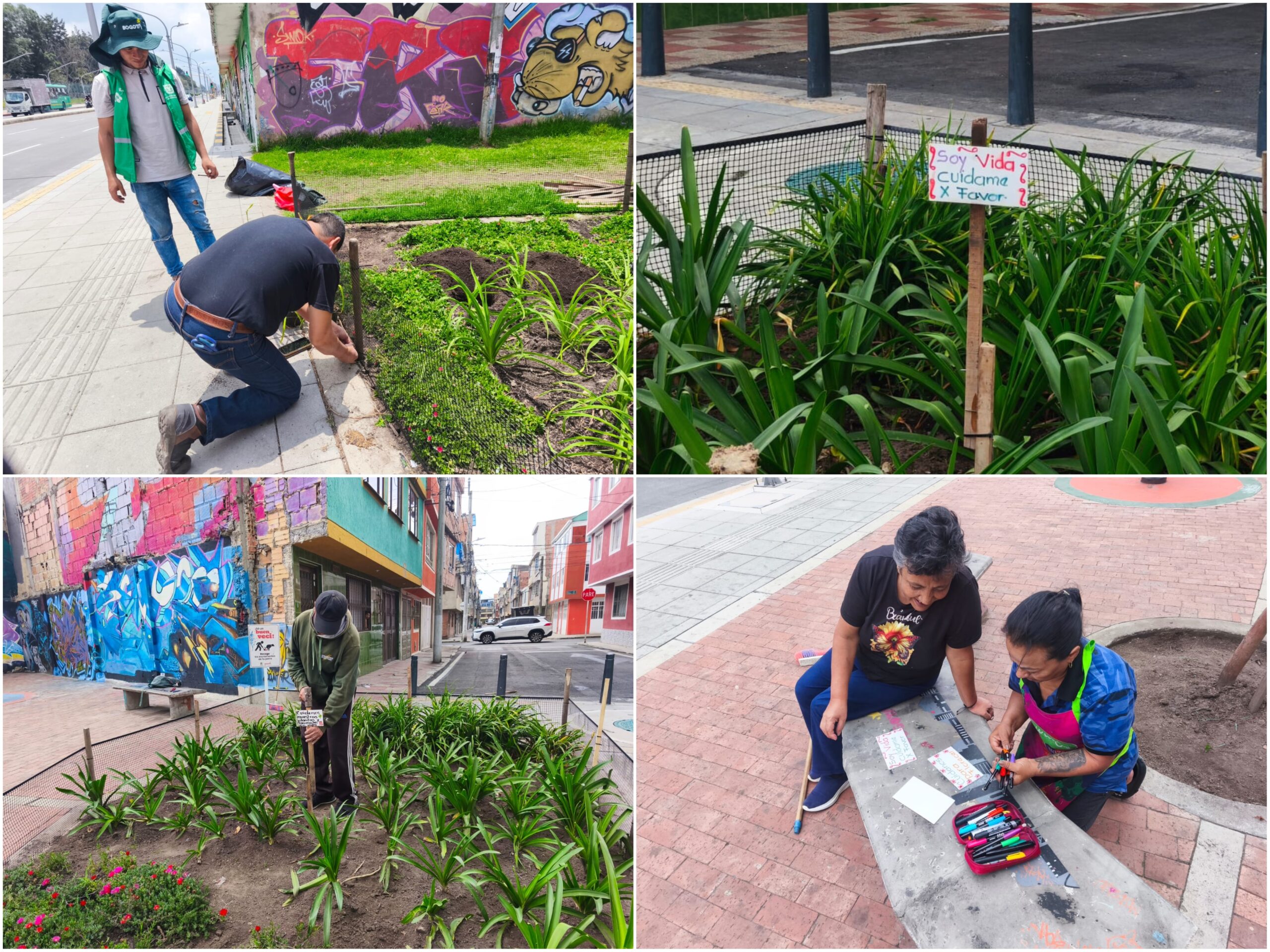 Historias del verde urbano: Las madrinas y padrinos de las nuevas jardineras de la avenida Mutis