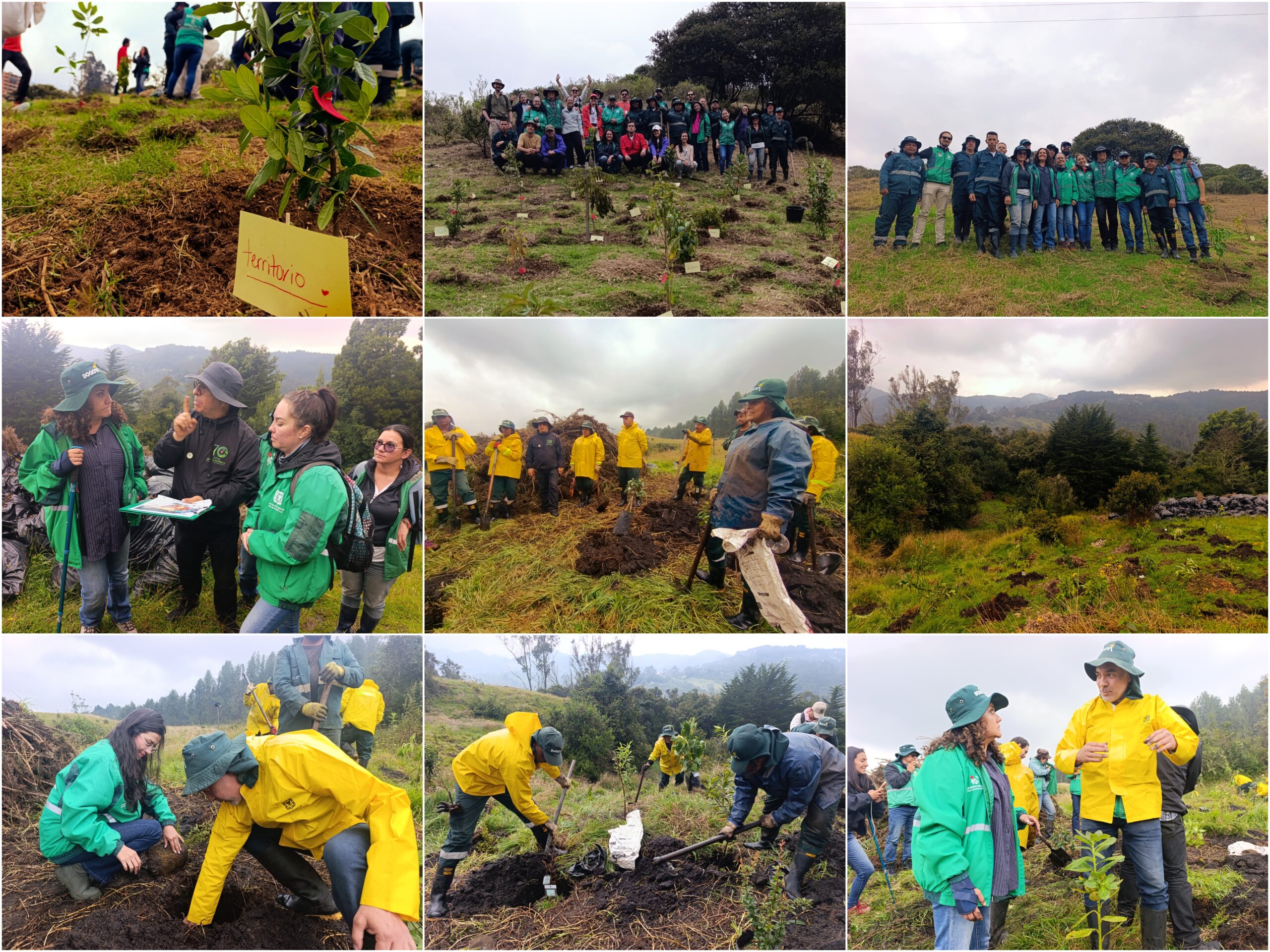 Historias del verde urbano: El Jardín Botánico de Bogotá le rindió un tributo verde a la Tierra con 30 actividades ambientales