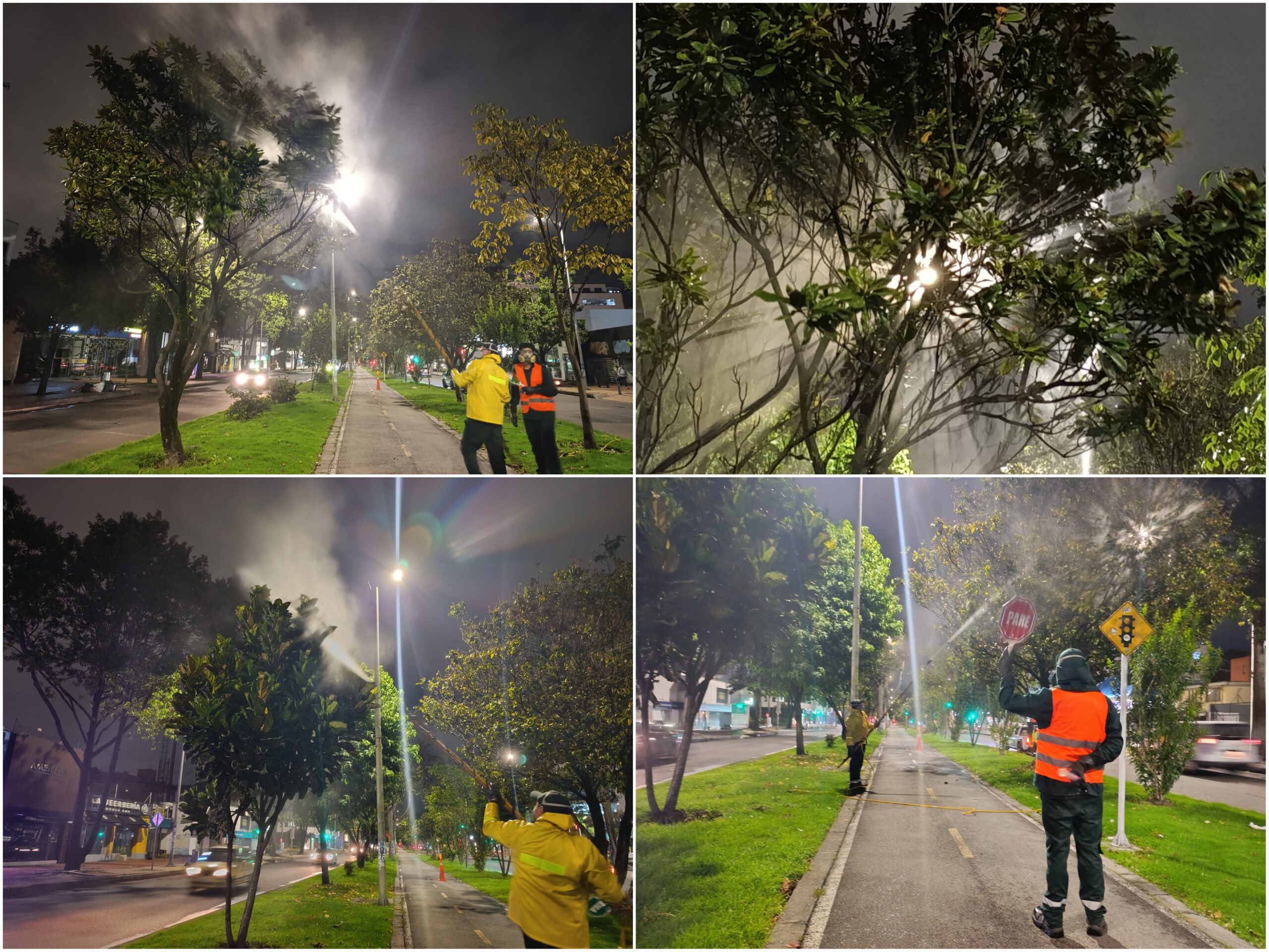 Historias del verde urbano: Crónica de una aspersión foliar nocturna en la avenida 19