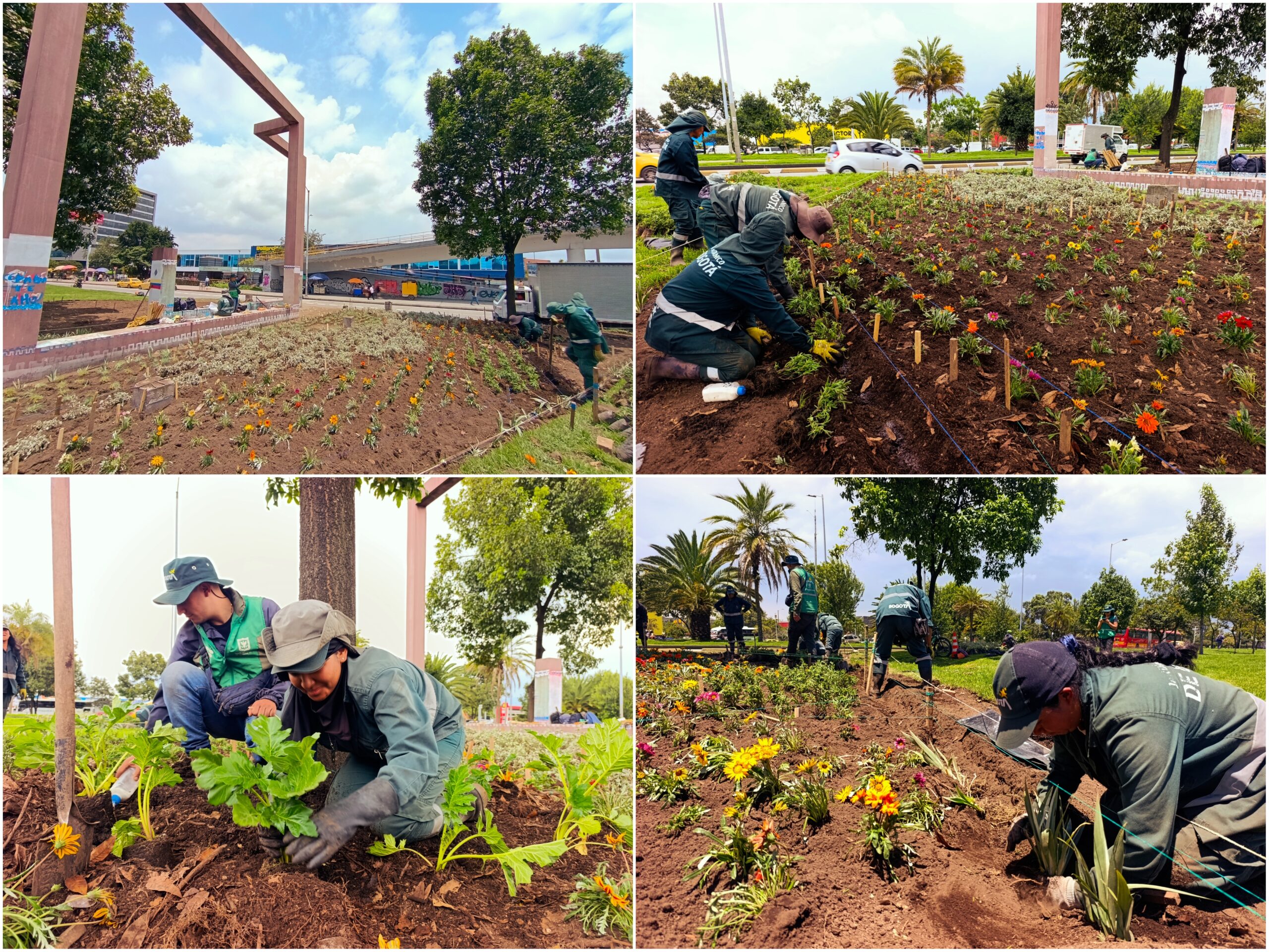 Historias del verde urbano: ¡La “Ventana a Bogotá” renovó sus jardines!