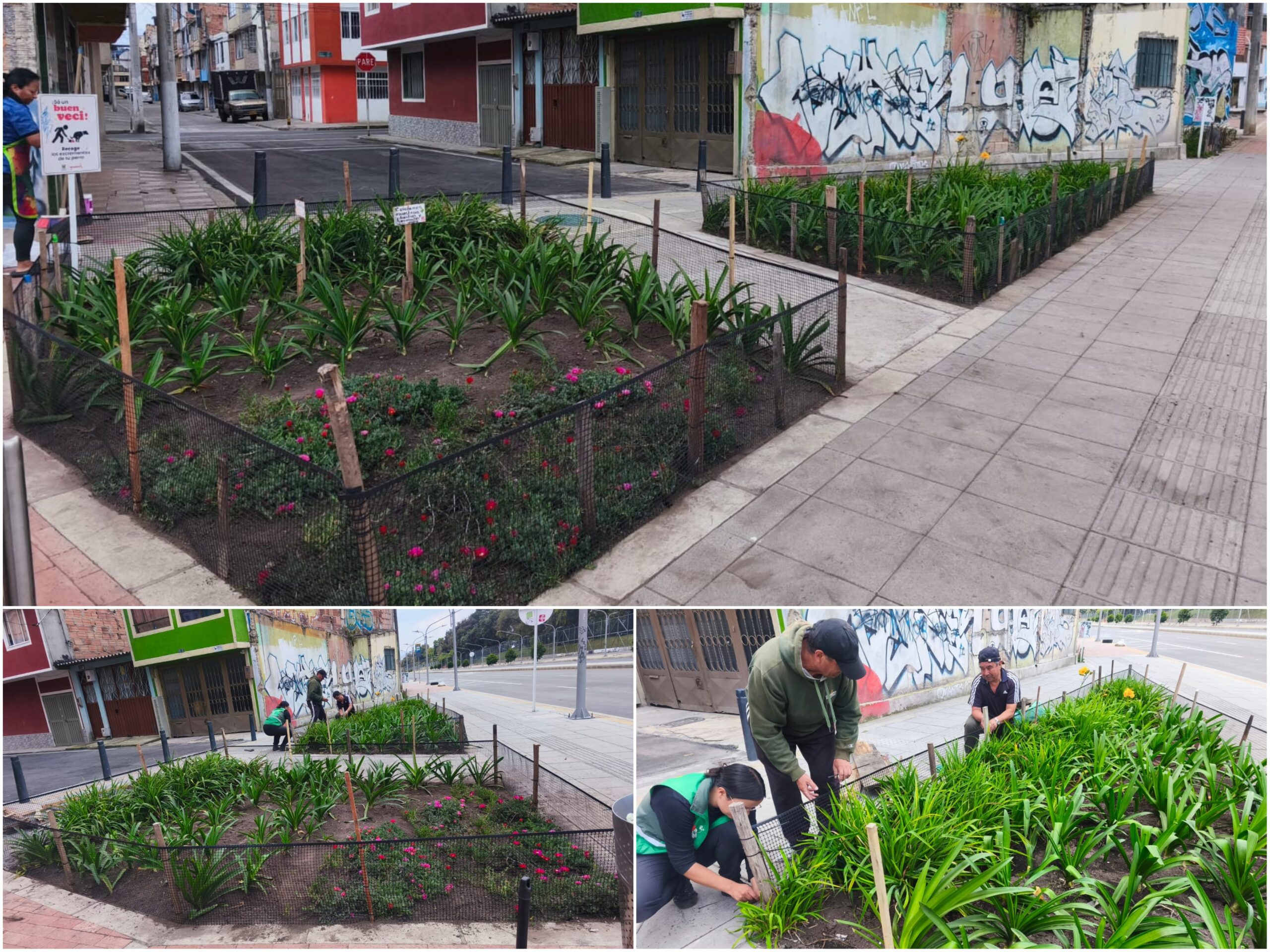 Historias del verde urbano: Las madrinas y padrinos de las nuevas jardineras de la avenida Mutis