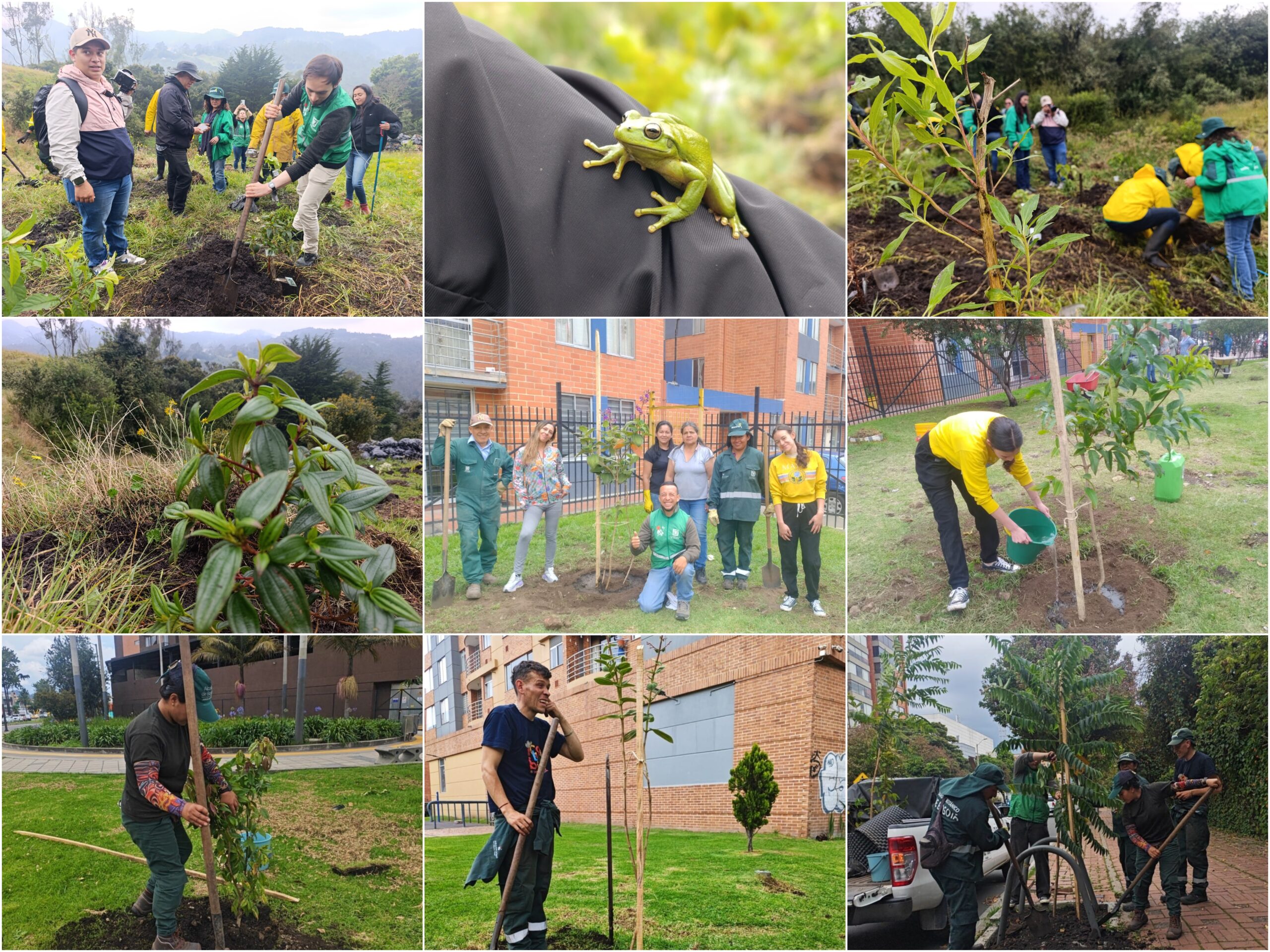 Historias del verde urbano: El Jardín Botánico de Bogotá le rindió un tributo verde a la Tierra con 30 actividades ambientales