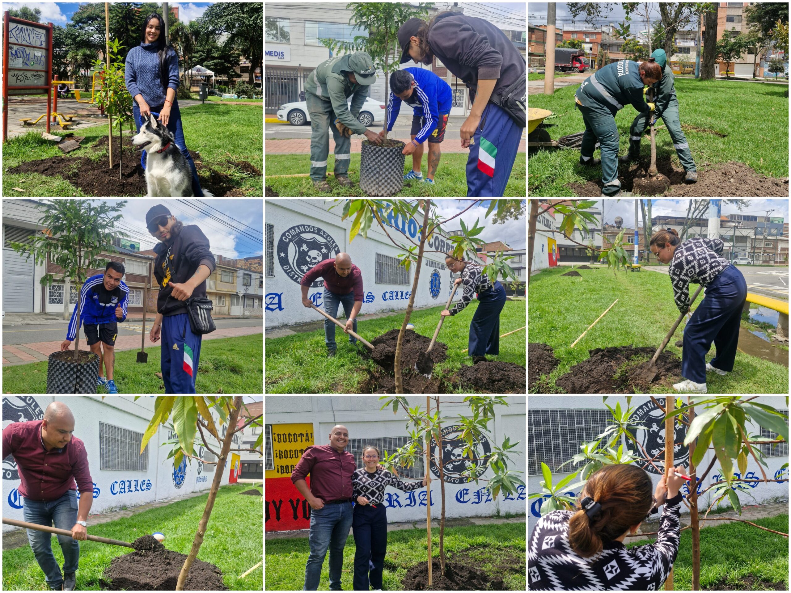 Historias del verde urbano: El festejo verde que le regaló a Bogotá más de 300 árboles y arbustos Historias del verde urbano: El festejo verde que le regaló a Bogotá más de 300 árboles y arbustos