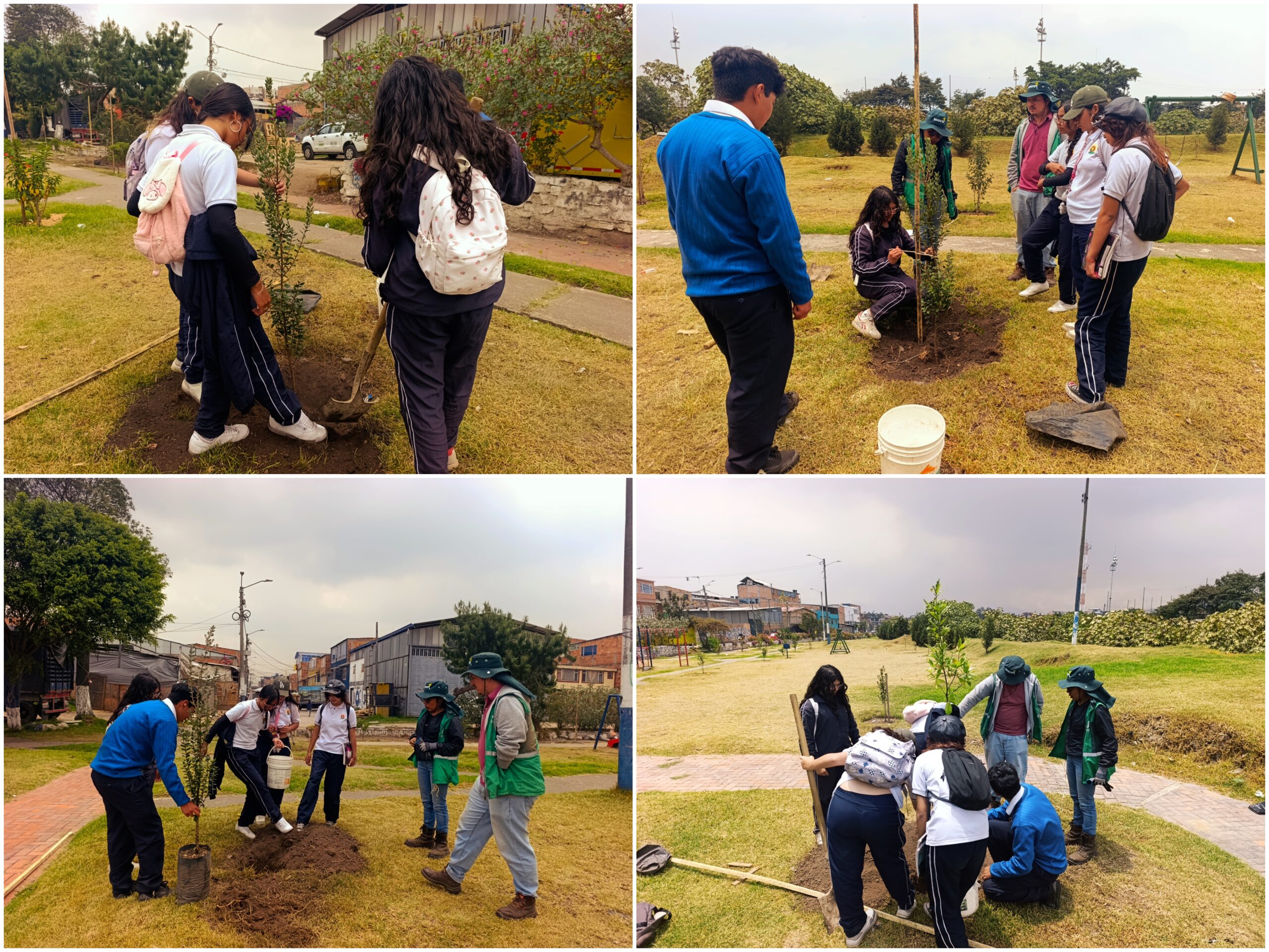 Historias del verde urbano: Plantación y clase de botánica en la ronda del río Tunjuelo