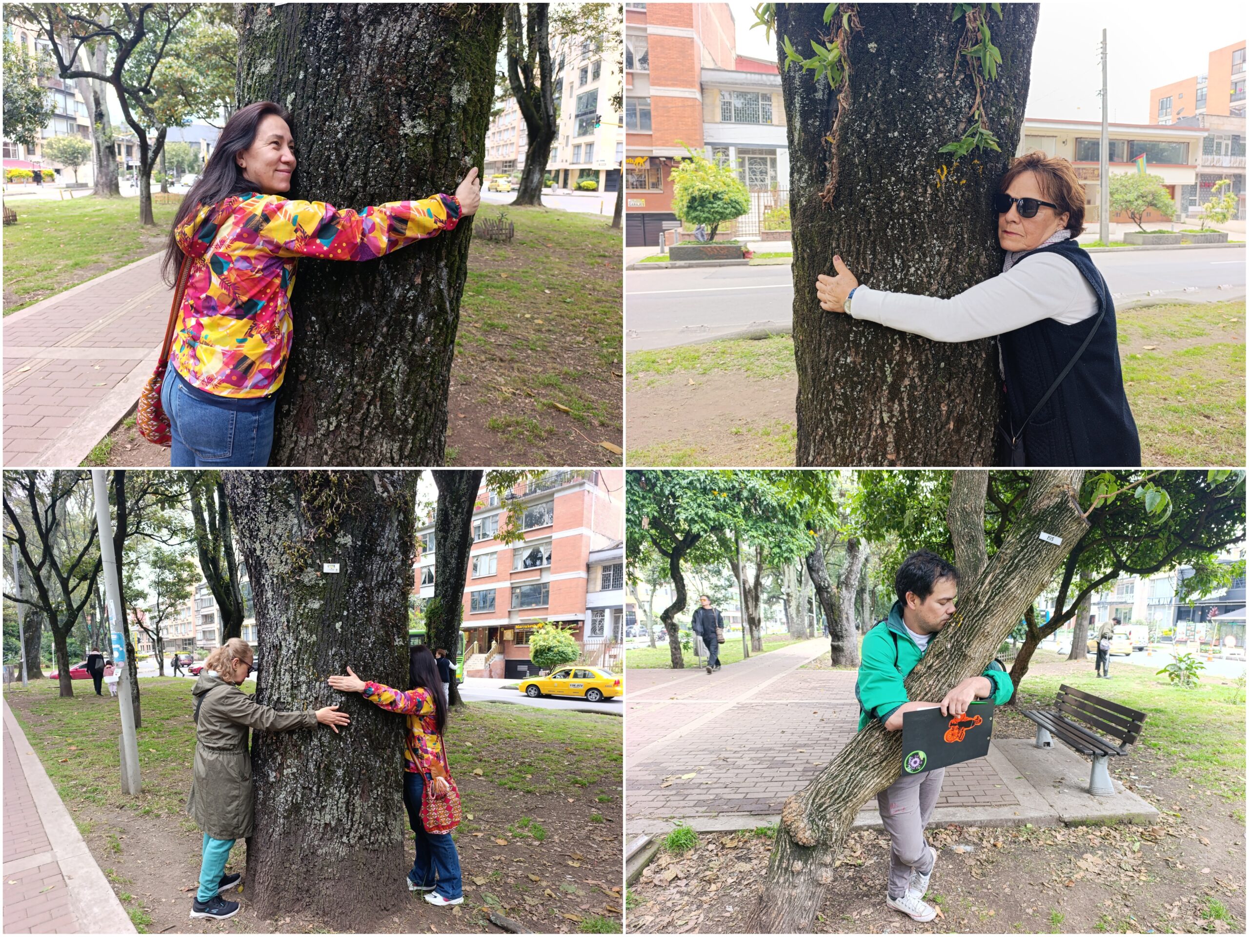 Historias del verde urbano: ¡Acciones de renaturalización en un ícono biodiverso de Teusaquillo!