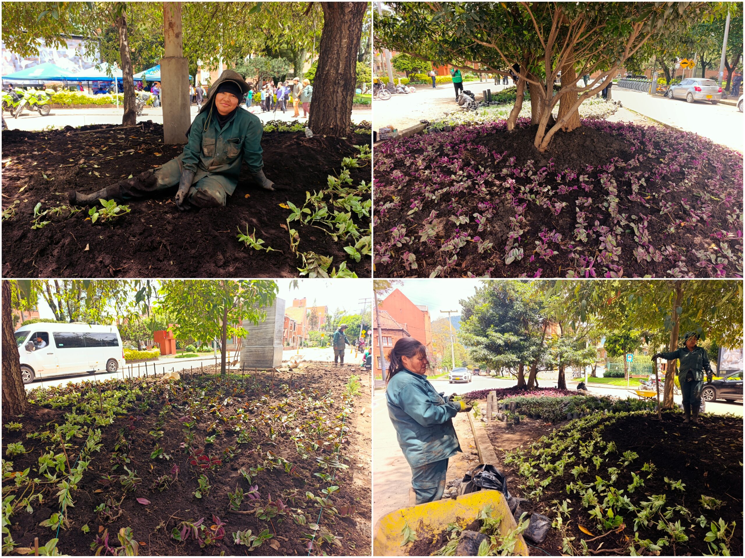 Historias del verde urbano: El nuevo lienzo floral del parque Guernika