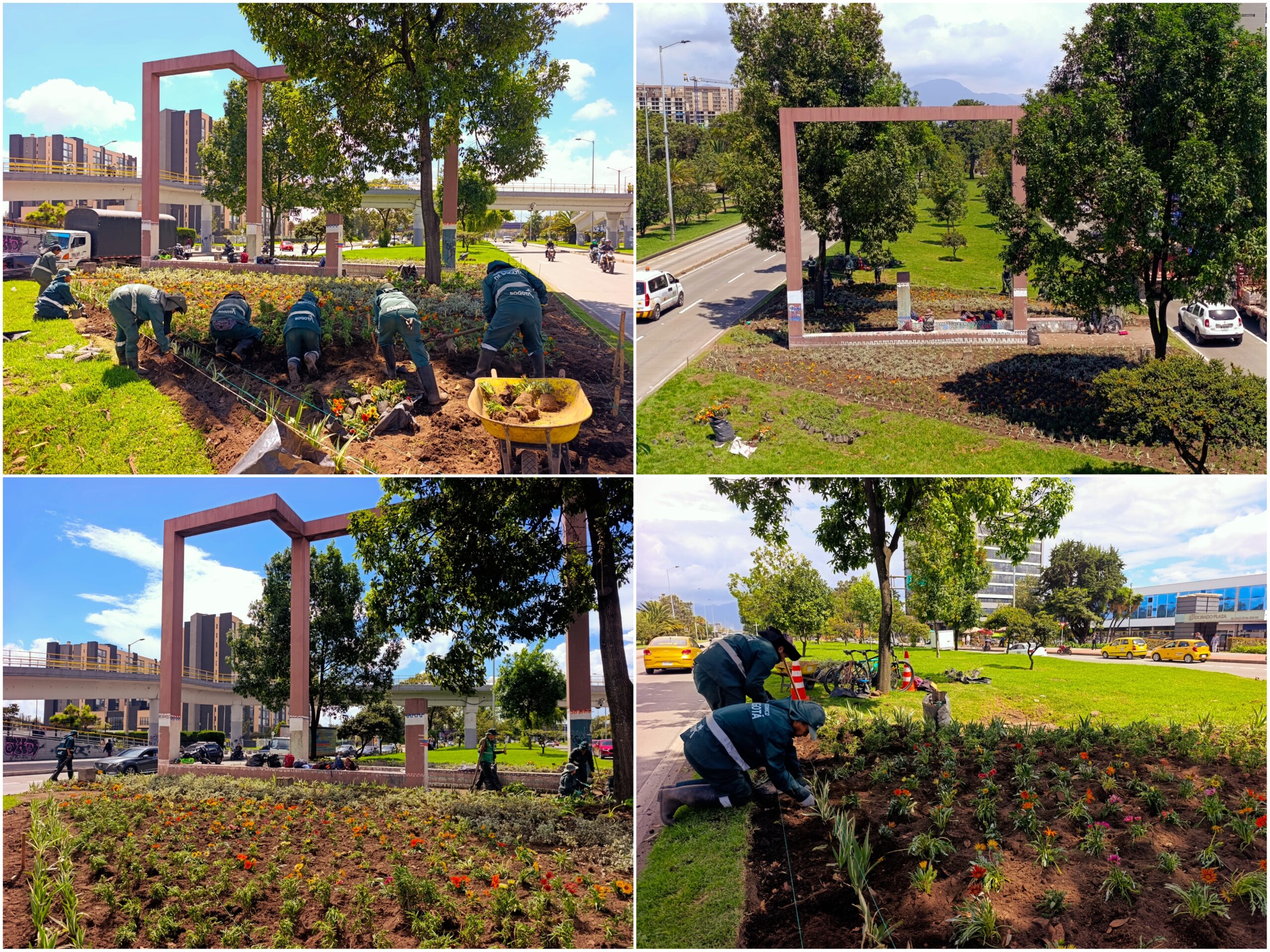 Historias del verde urbano: ¡La “Ventana a Bogotá” renovó sus jardines!