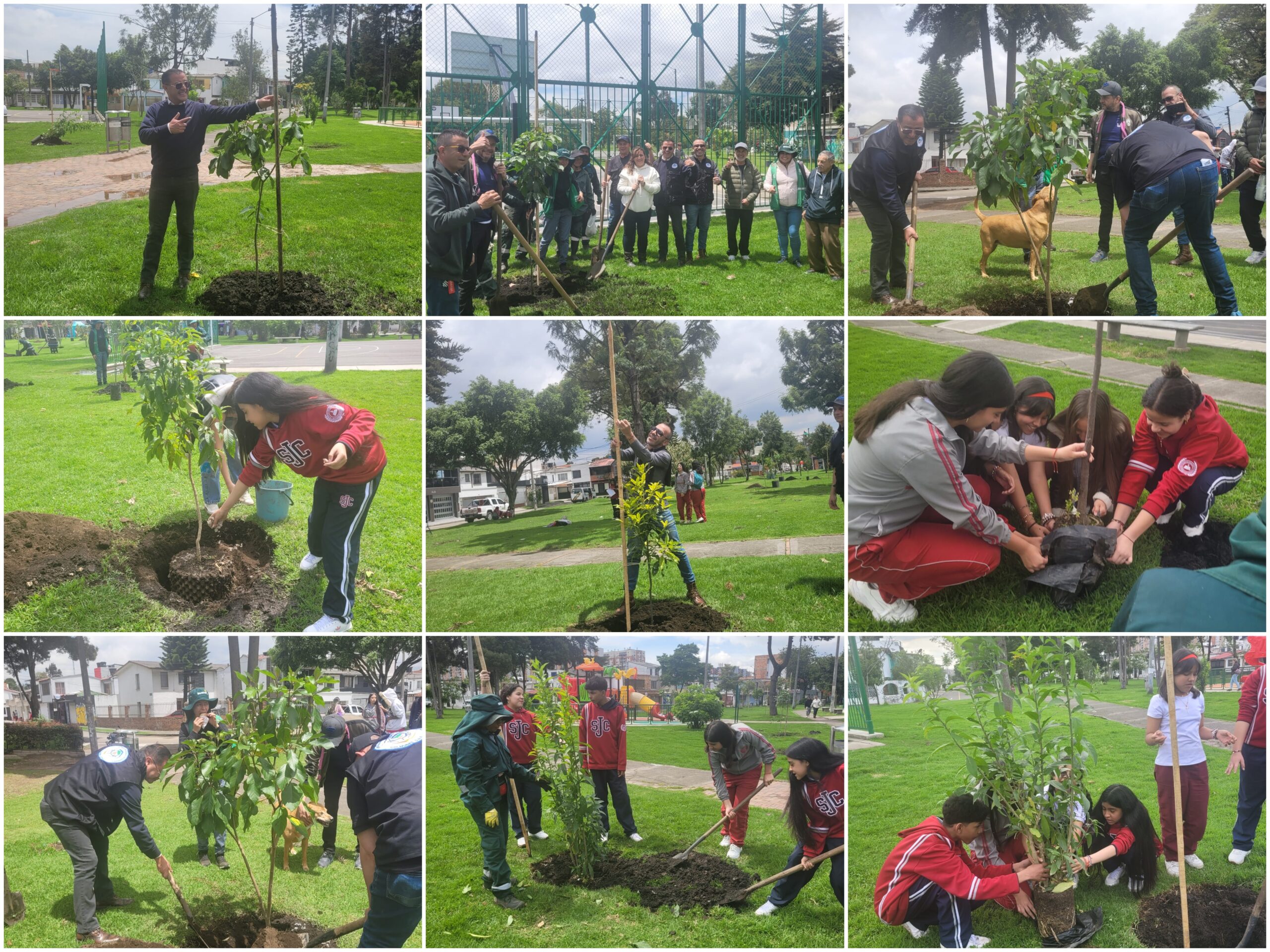 Historias del verde urbano: El festejo verde que le regaló a Bogotá más de 300 árboles y arbustos Historias del verde urbano: El festejo verde que le regaló a Bogotá más de 300 árboles y arbustos