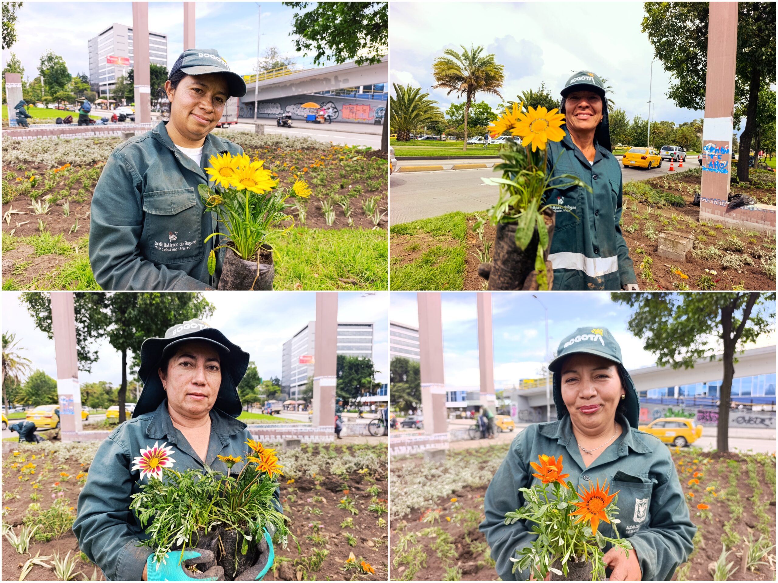 Historias del verde urbano: ¡La “Ventana a Bogotá” renovó sus jardines!