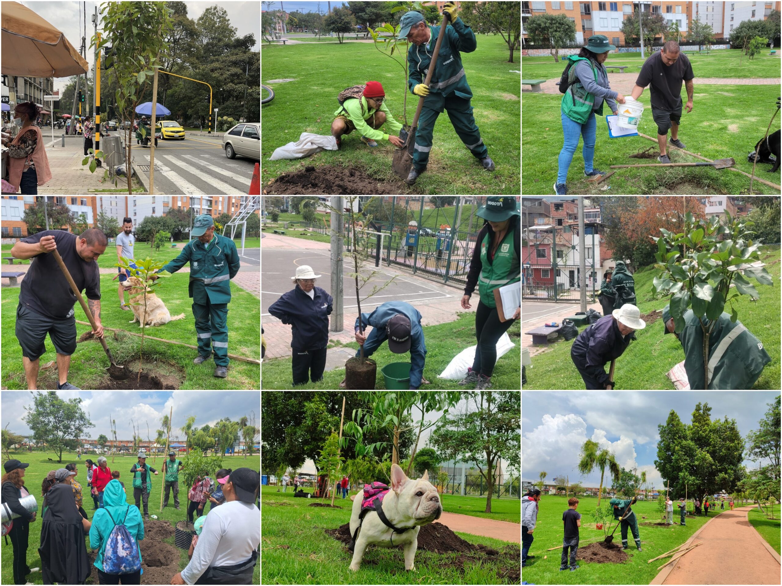 Historias del verde urbano: El Jardín Botánico de Bogotá le rindió un tributo verde a la Tierra con 30 actividades ambientales