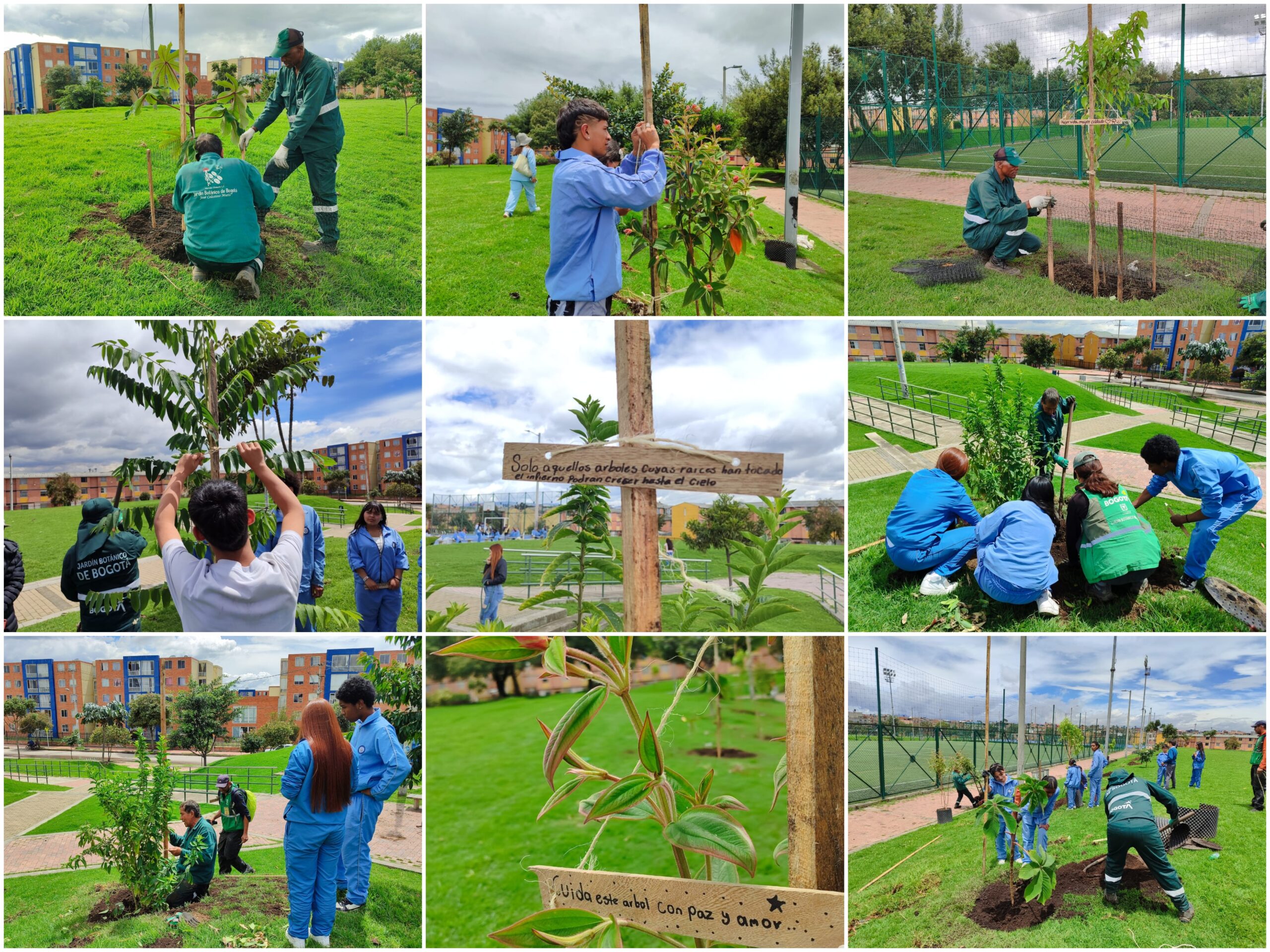Historias del verde urbano: El festejo verde que le regaló a Bogotá más de 300 árboles y arbustos Historias del verde urbano: El festejo verde que le regaló a Bogotá más de 300 árboles y arbustos