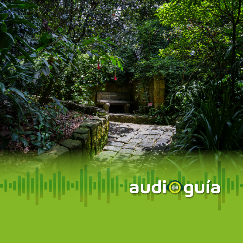 Audioguía parada 9 Mirador de los sonidos