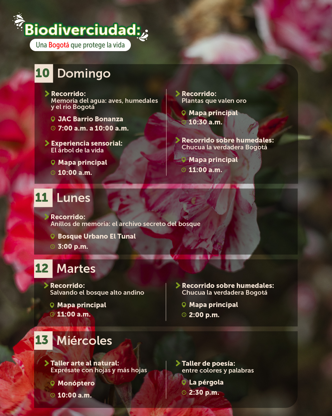 Agenda mayo-04