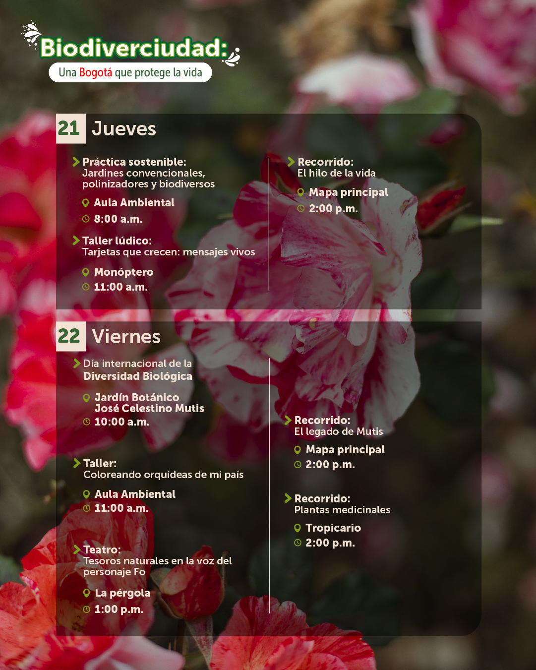 Agenda mayo-06