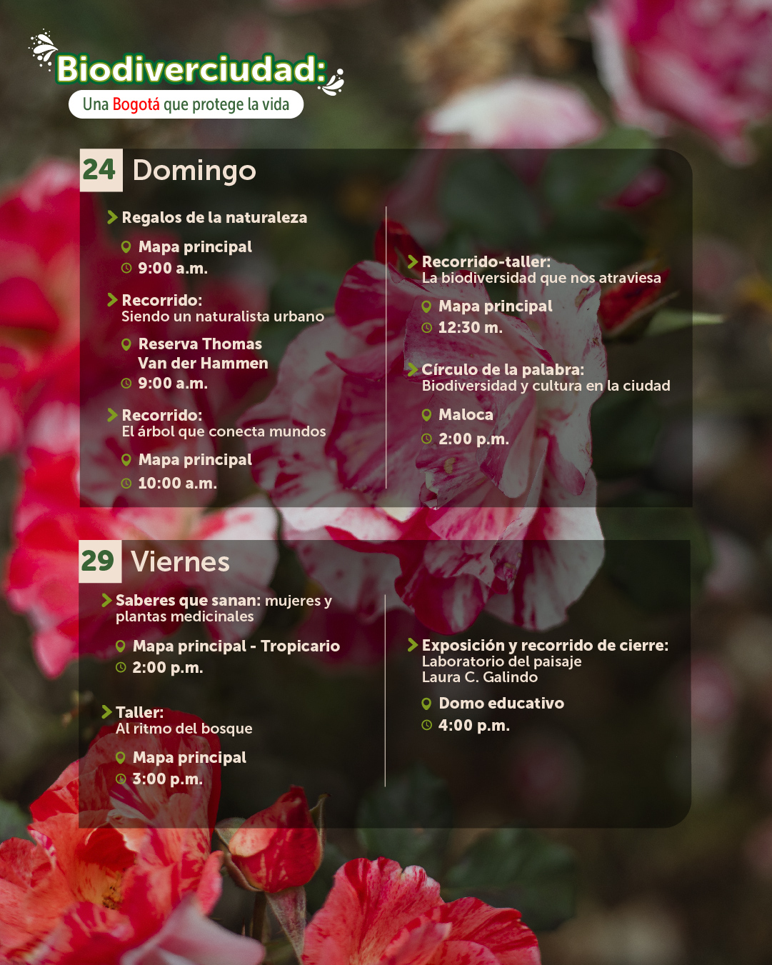 Agenda mayo-08