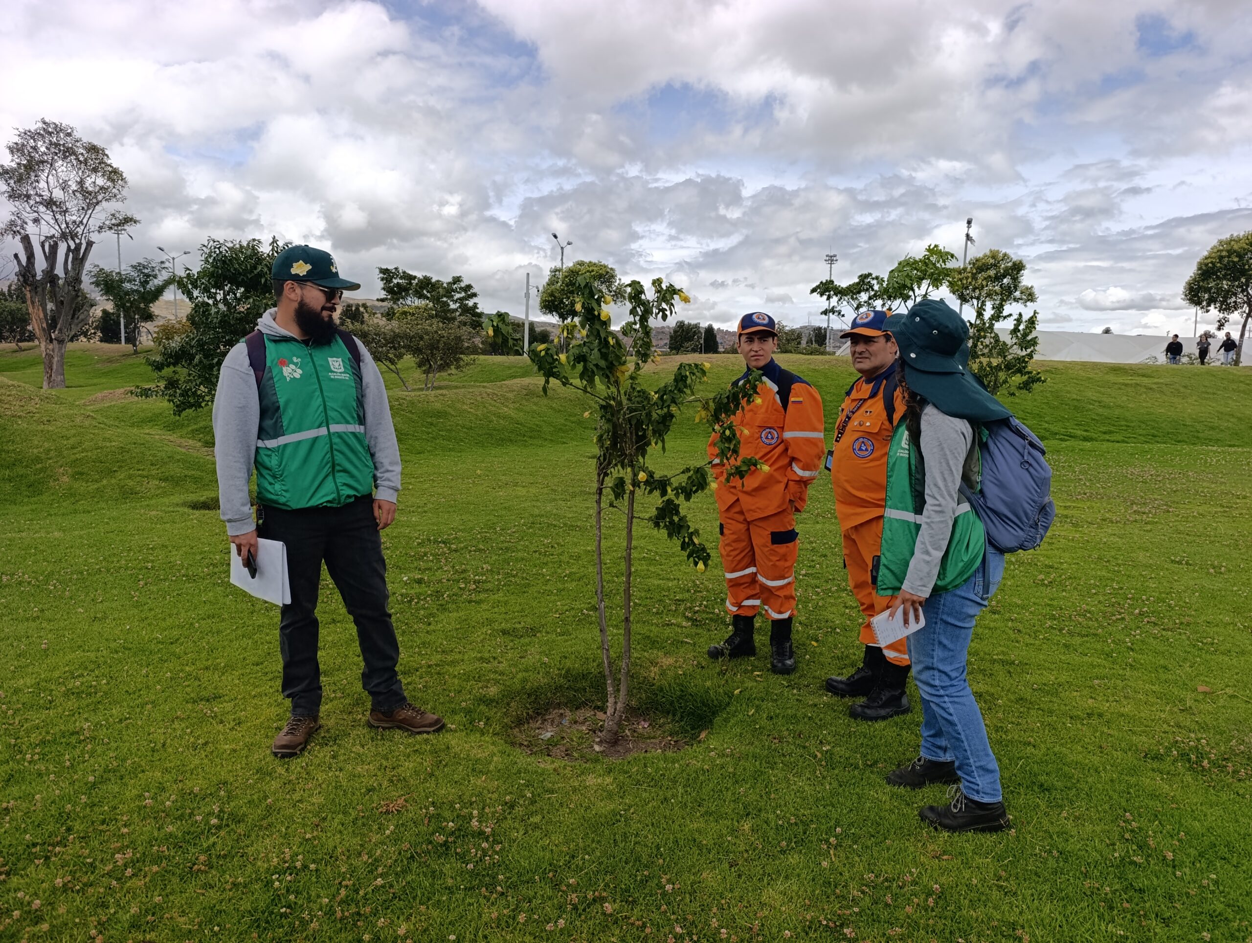 Historias del verde urbano: ¡Cocreando el nuevo arbolado de El Tunal!