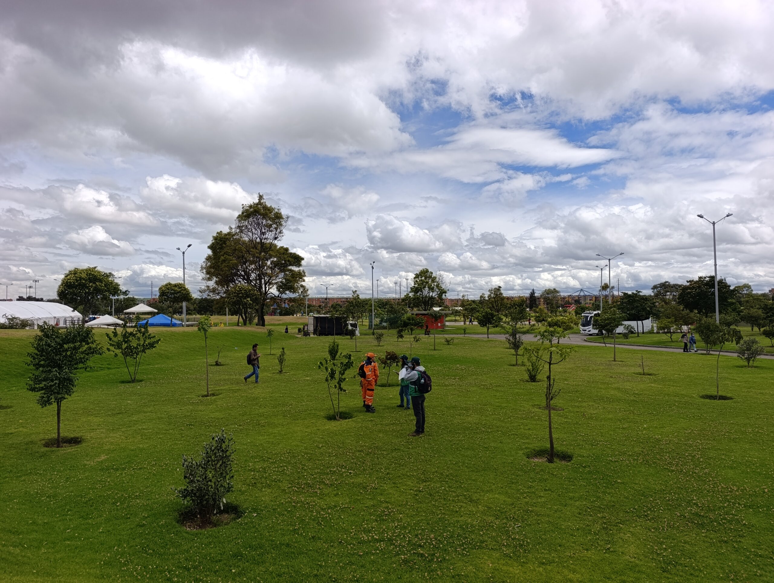Historias del verde urbano: ¡Cocreando el nuevo arbolado de El Tunal!