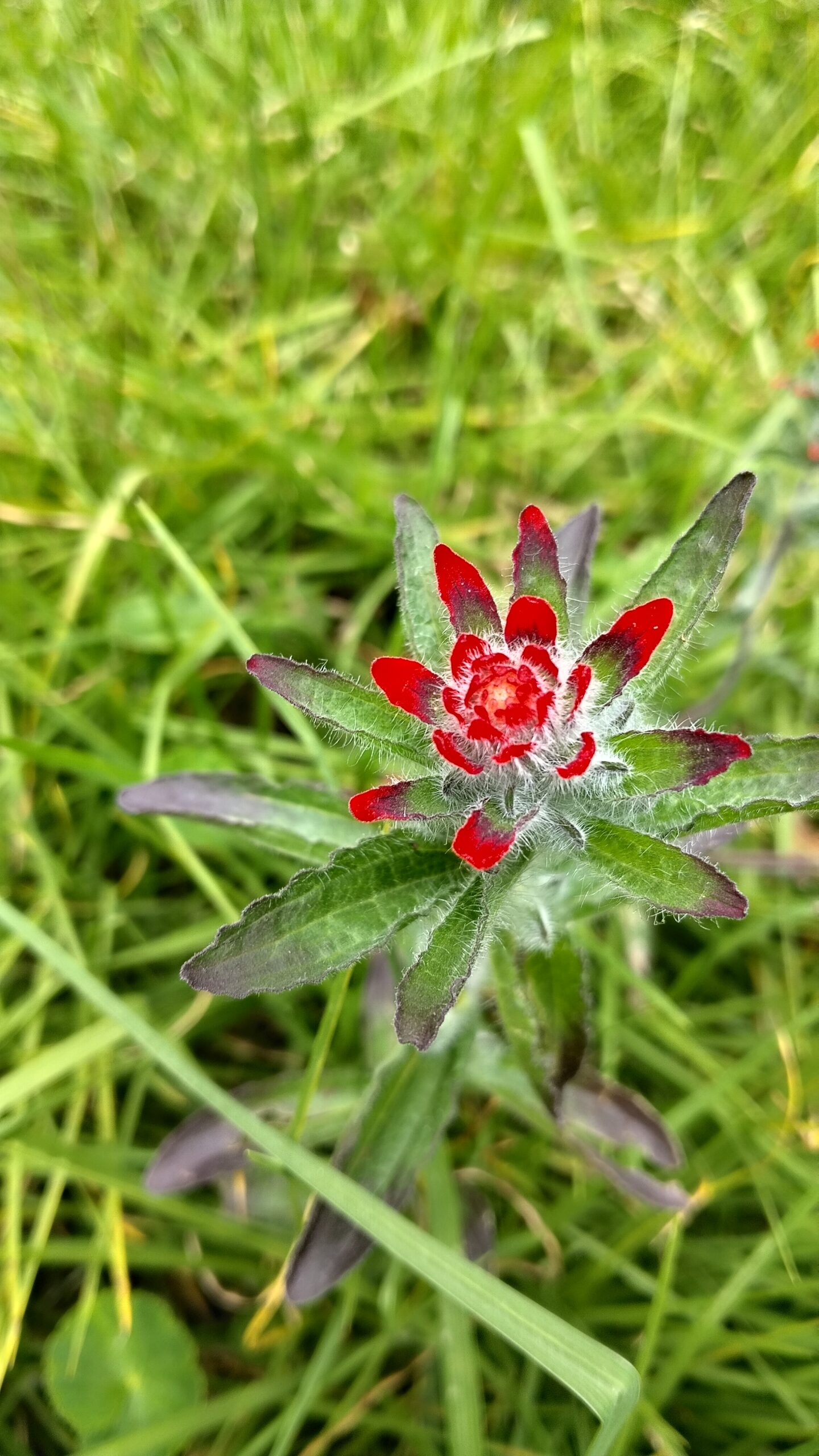 Tejiendo territorios: Memoria y Raíces: Mujeres de Fontibón recorren la Reserva Thomas van der Hammen