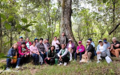 Tejiendo territorios: Memoria y Raíces: Mujeres de Fontibón recorren la Reserva Thomas van der Hammen