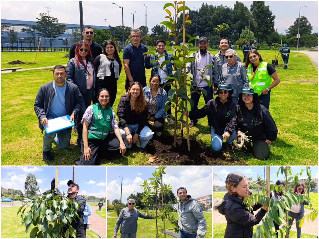 Historias del verde urbano: El vecino del humedal Capellanía recibió 26 árboles y arbustos